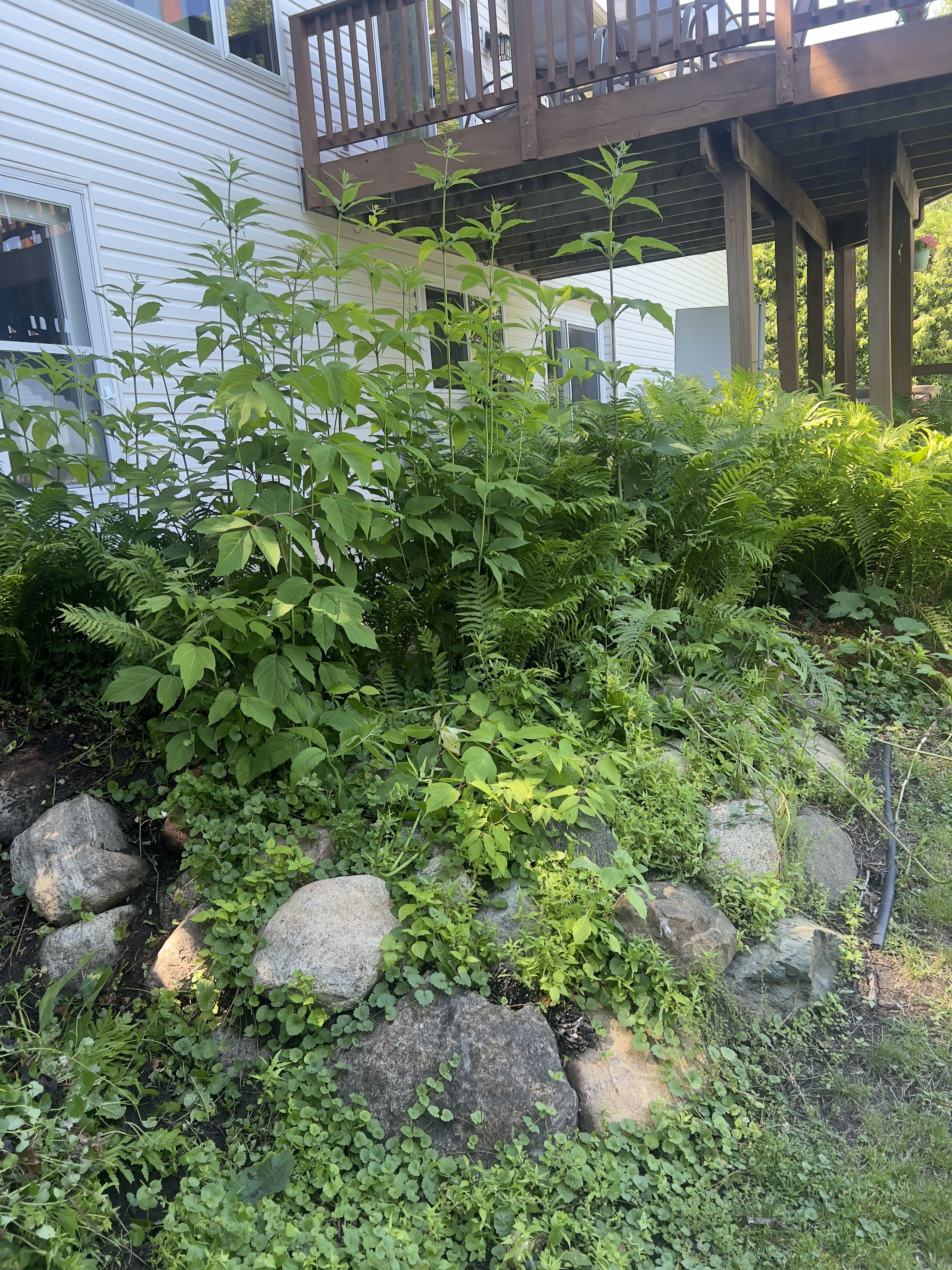  for Luke's Lawn Care and Landscape in Andover, MN