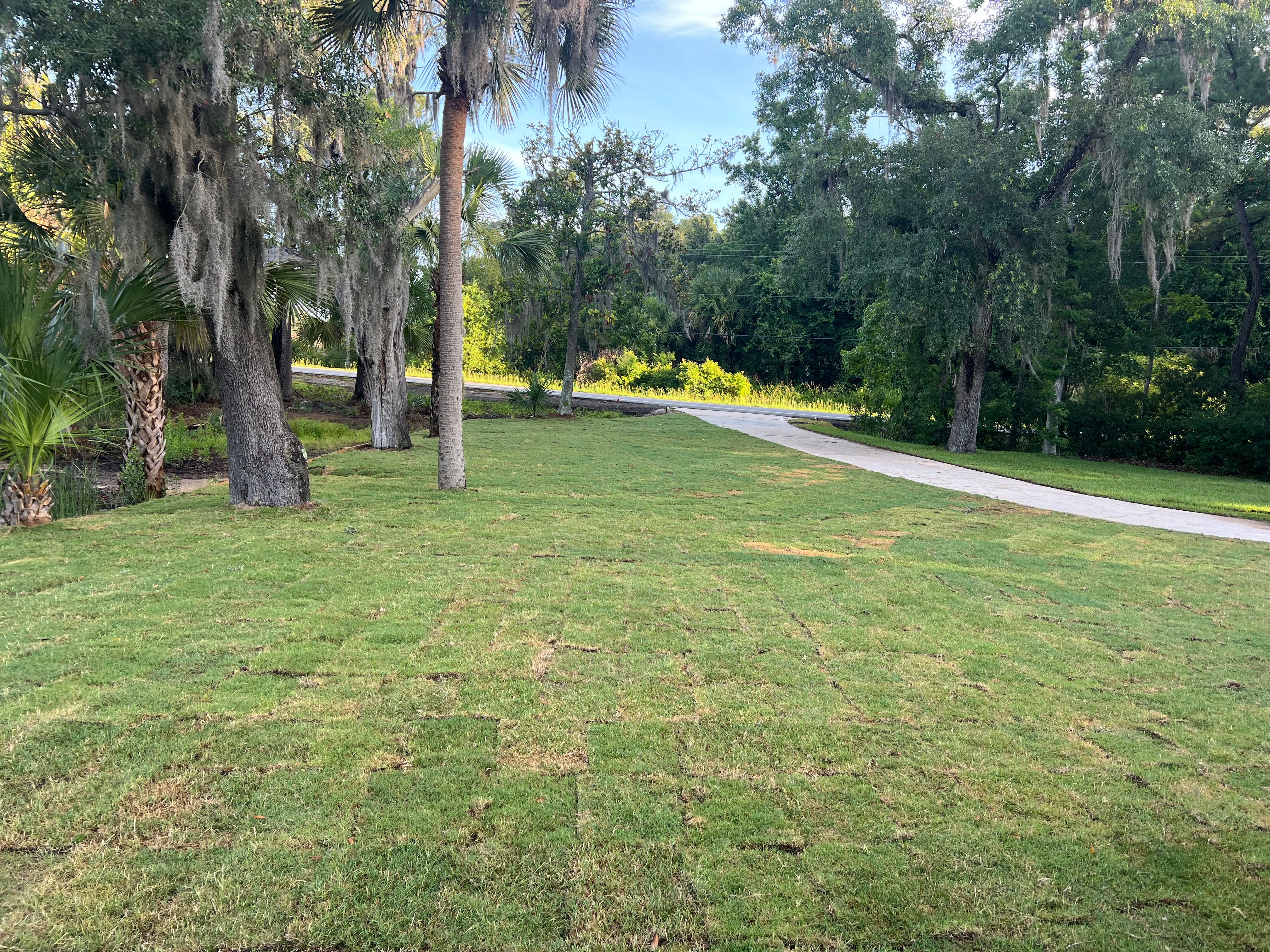  for Brandon Woodard’s Lawncare in Ludowici, GA