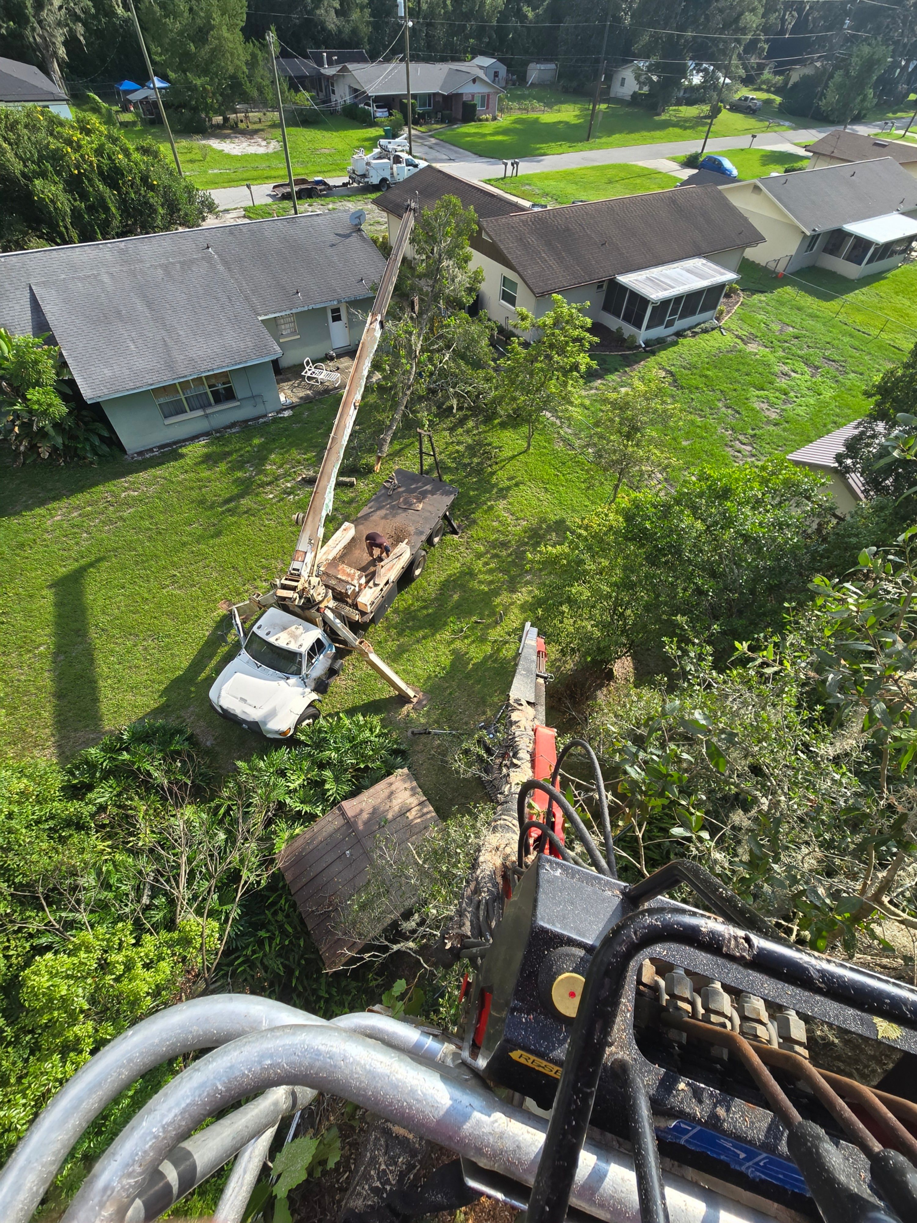 All Photos for Near Me Tree Service, Inc. in DeLand, FL