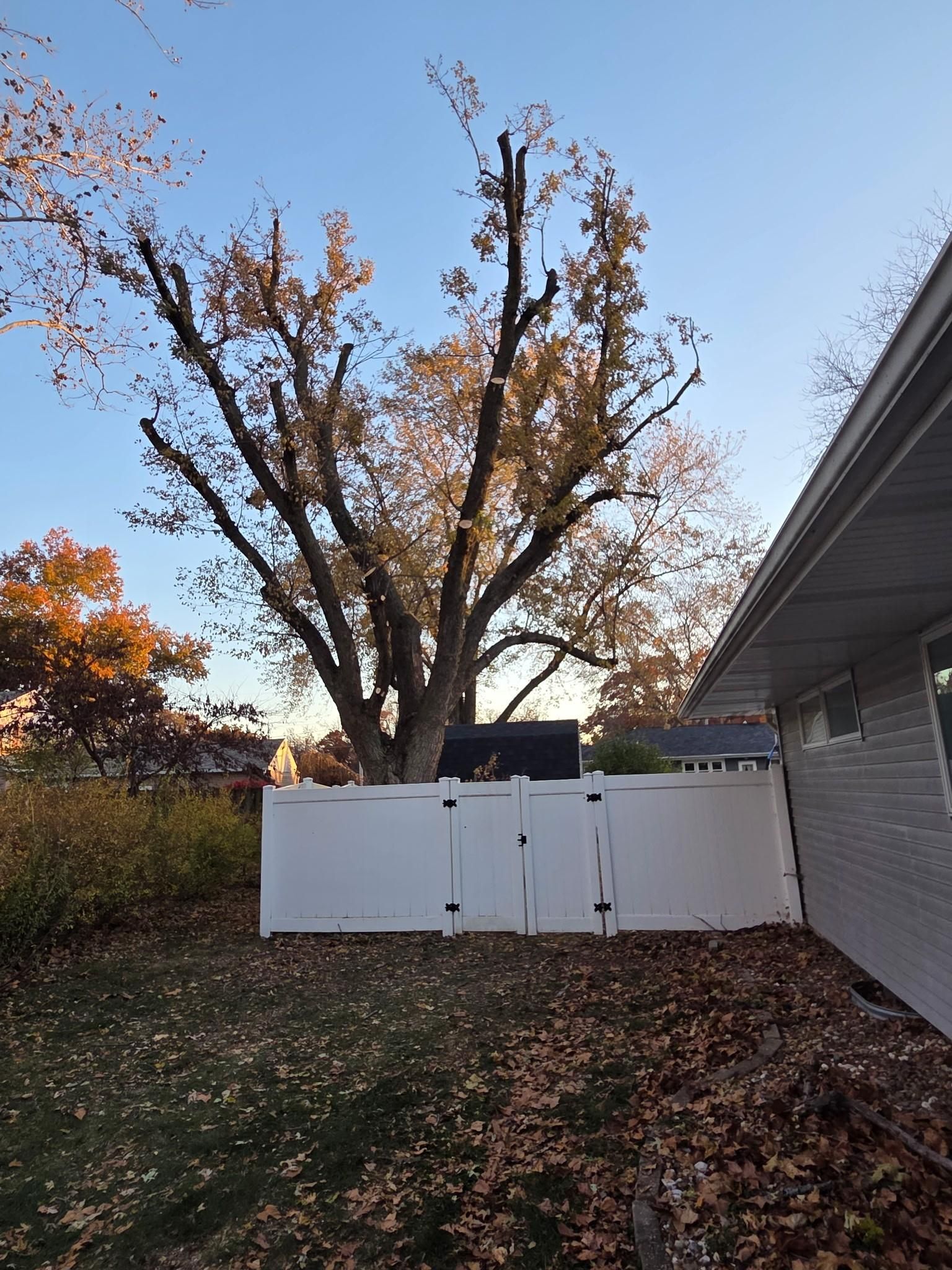 for Lawn Ranger Yard And Tree Service LLC in Ottumwa, IA