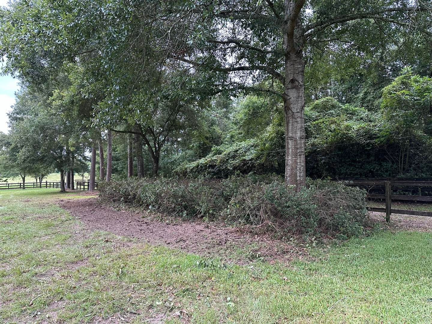  for River Rooted Construction in Loranger, LA