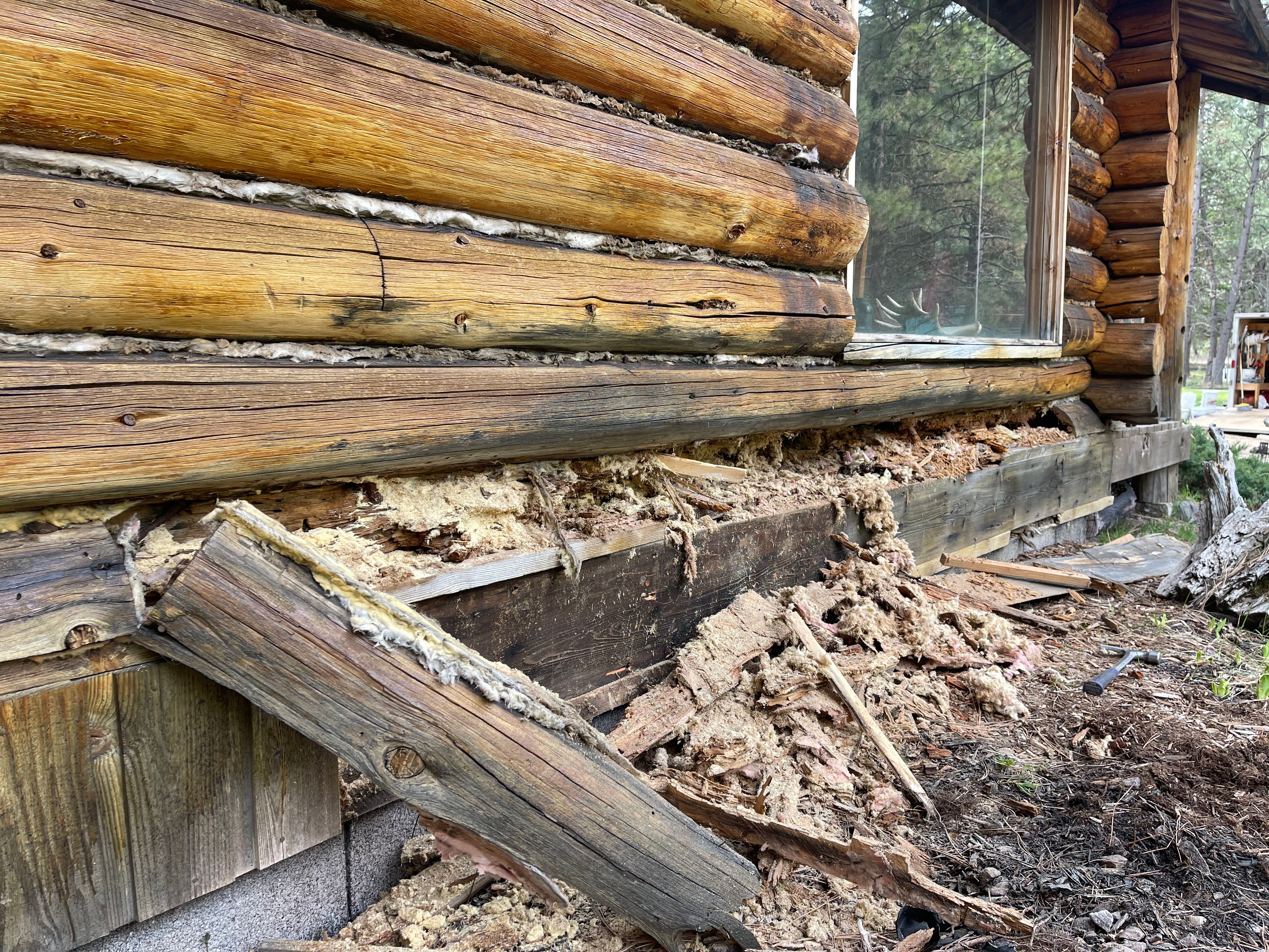  for True Blue Logworks LLC in Corvallis, MT