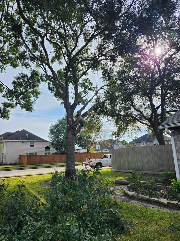  for Bonita Bay Lawn Maintenance LLC in La Porte, TX