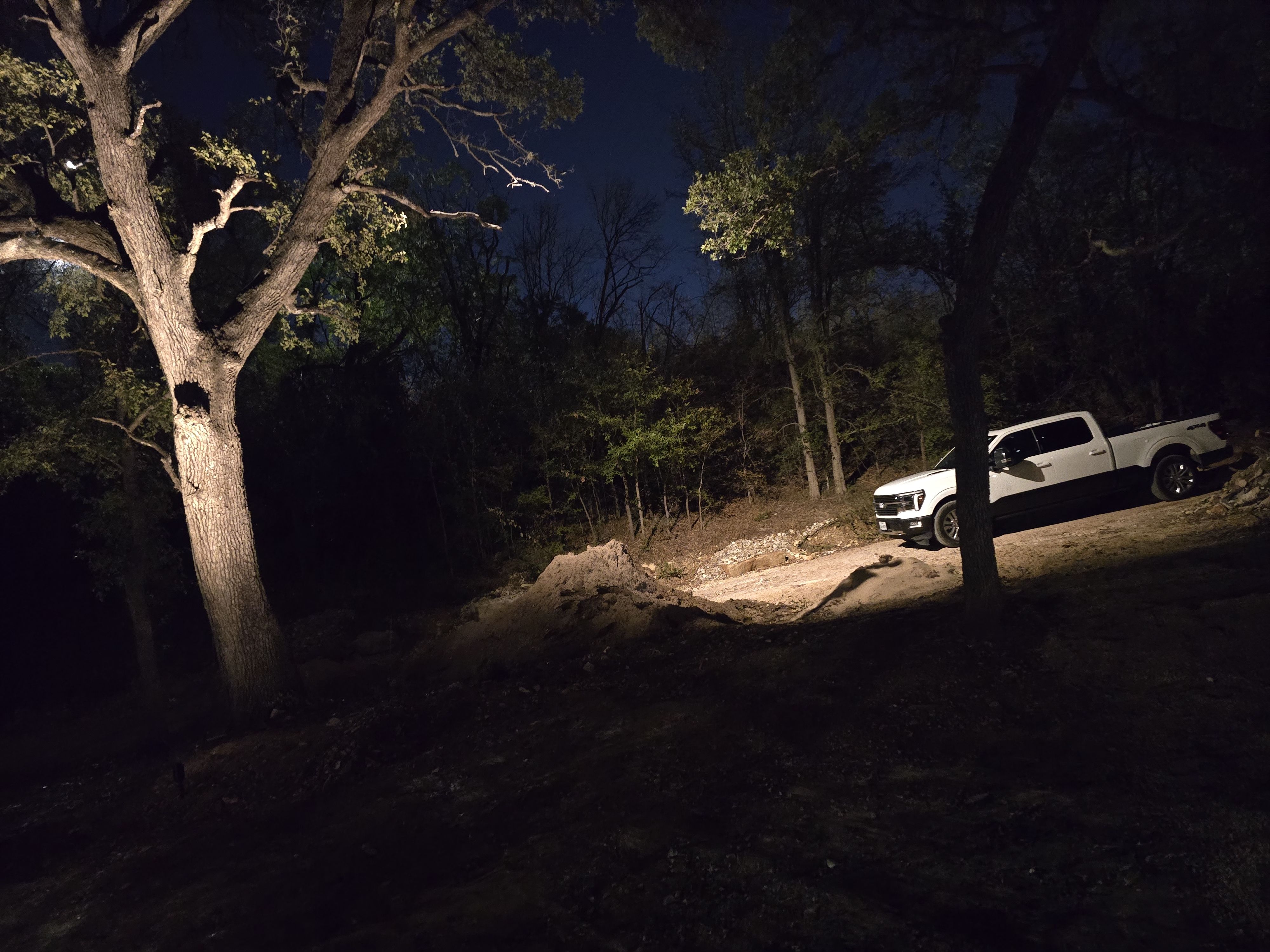  for Green Pastures Lawn Care in Bastrop, TX