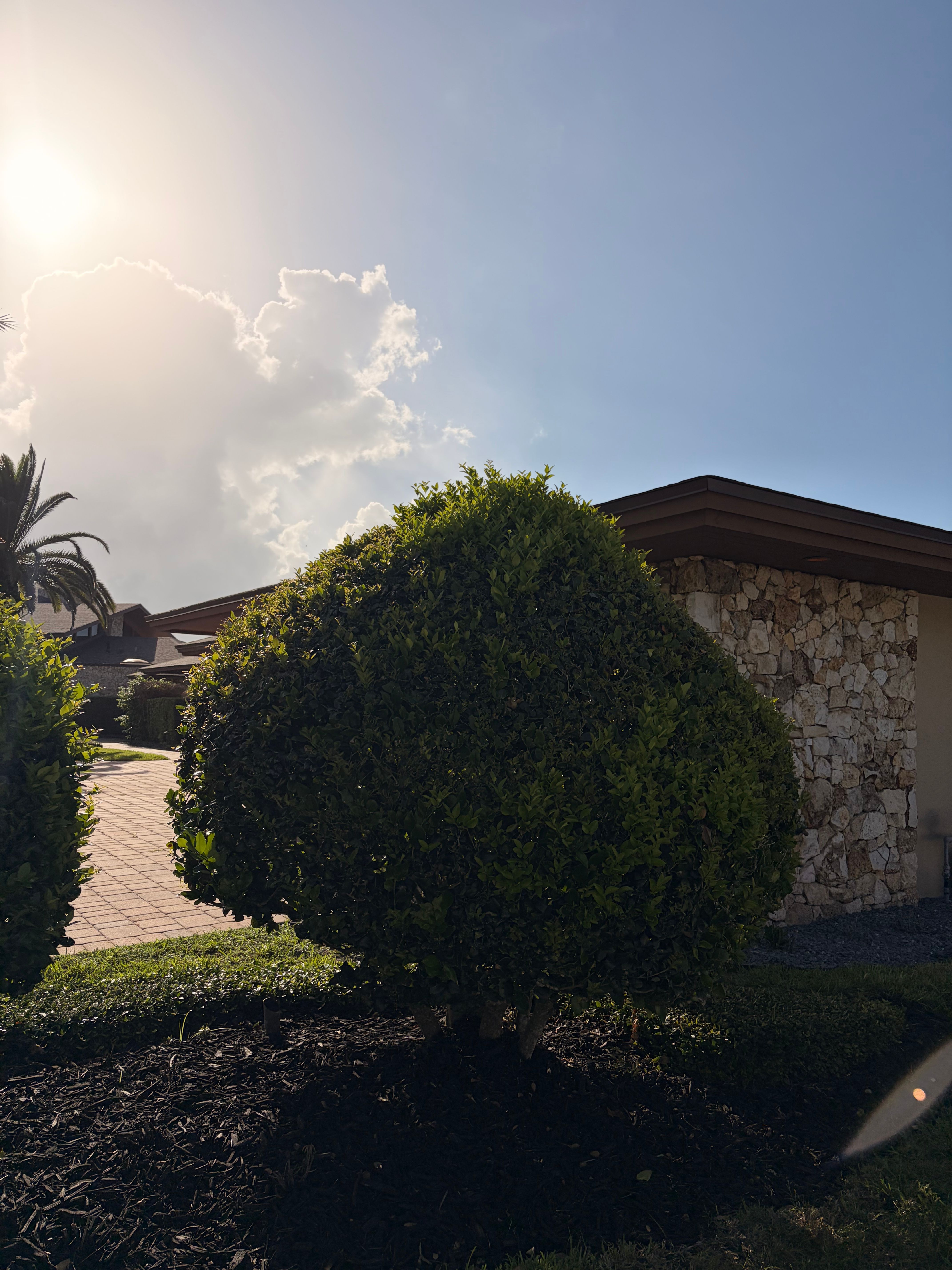  for Vanic's Landscaping in Port Orange, FL