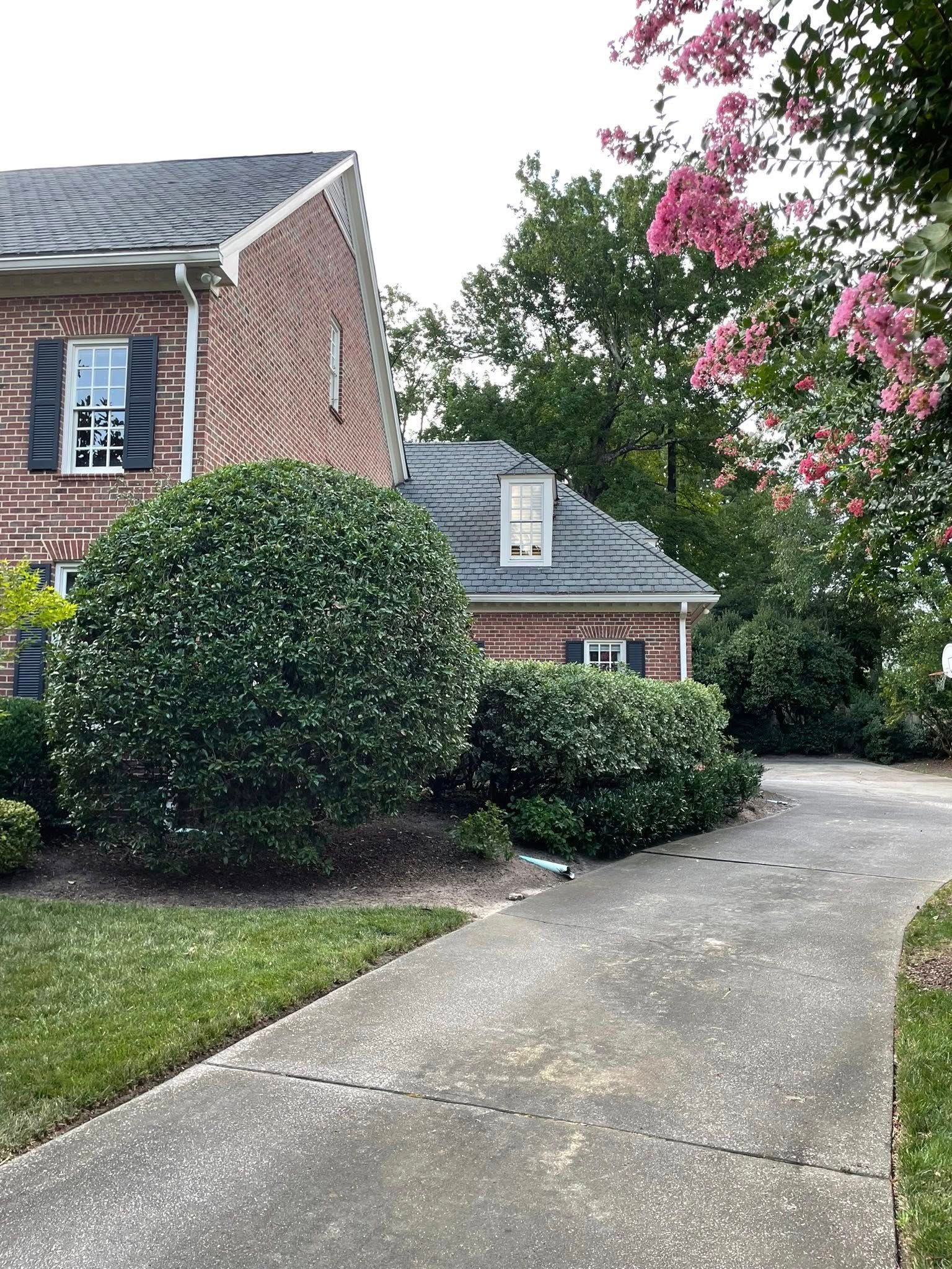  for J&J Tree Services in Raleigh, NC