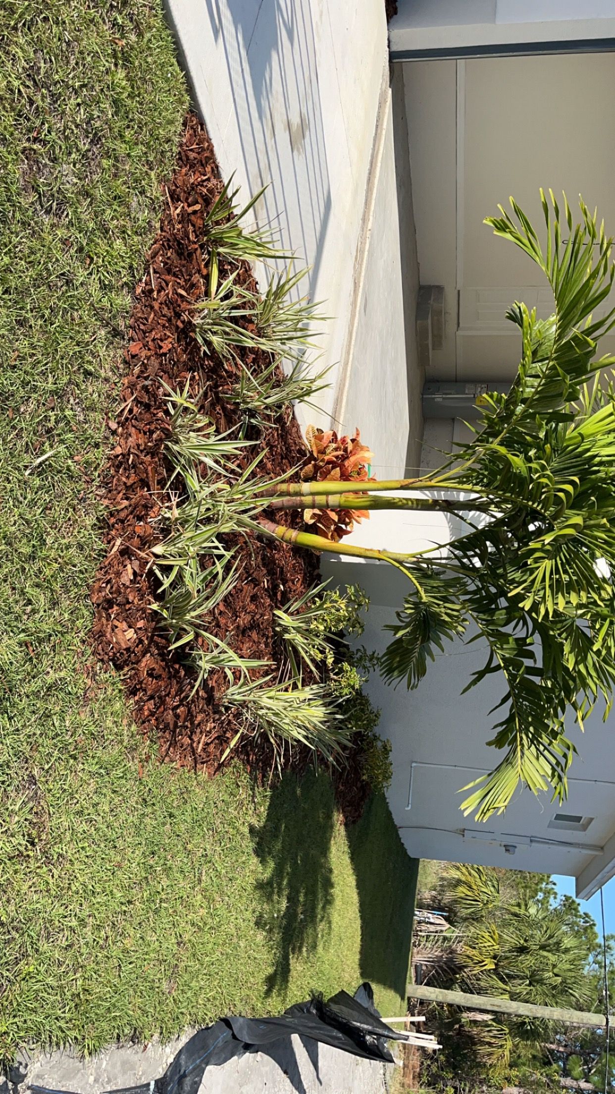  for Space Coast Property Maintenance and Management LLC in Melbourne, FL