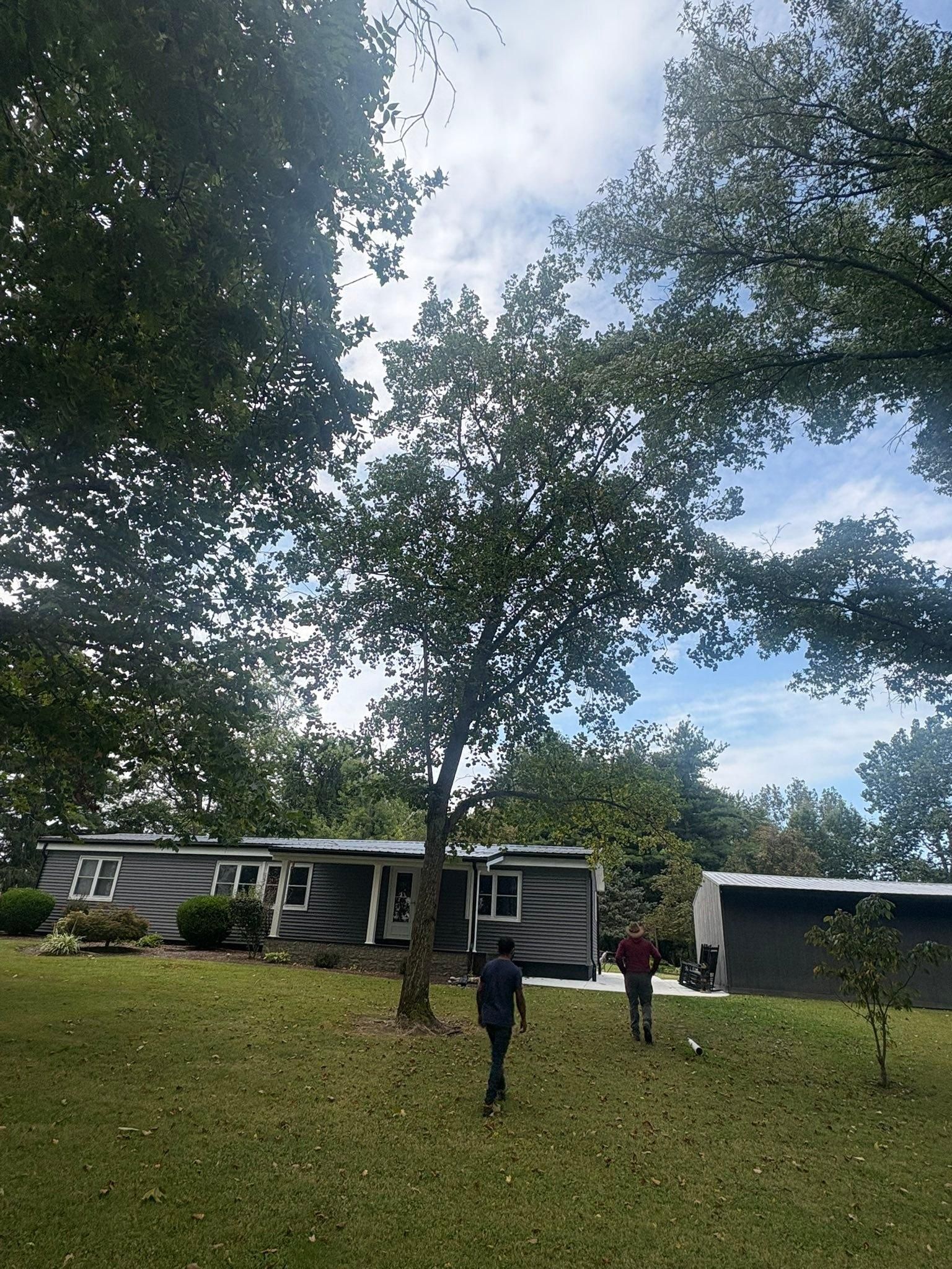  for Dig-It Tree Company in , 