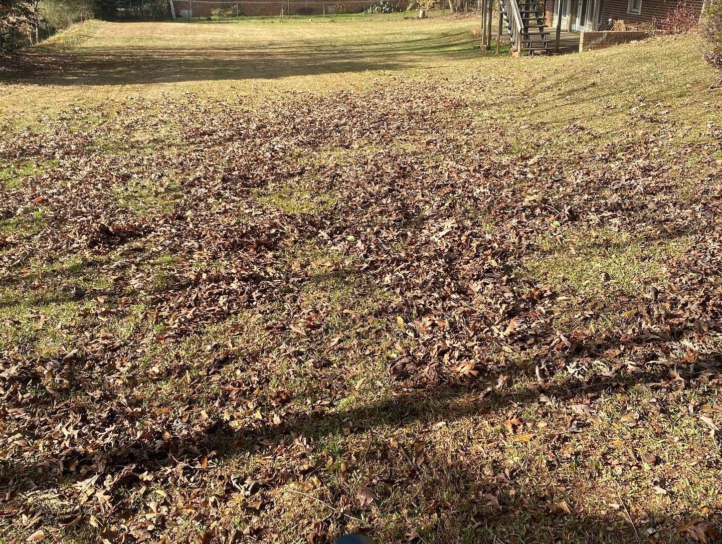 Landscaping for JIF Concrete Services in Greenville, SC