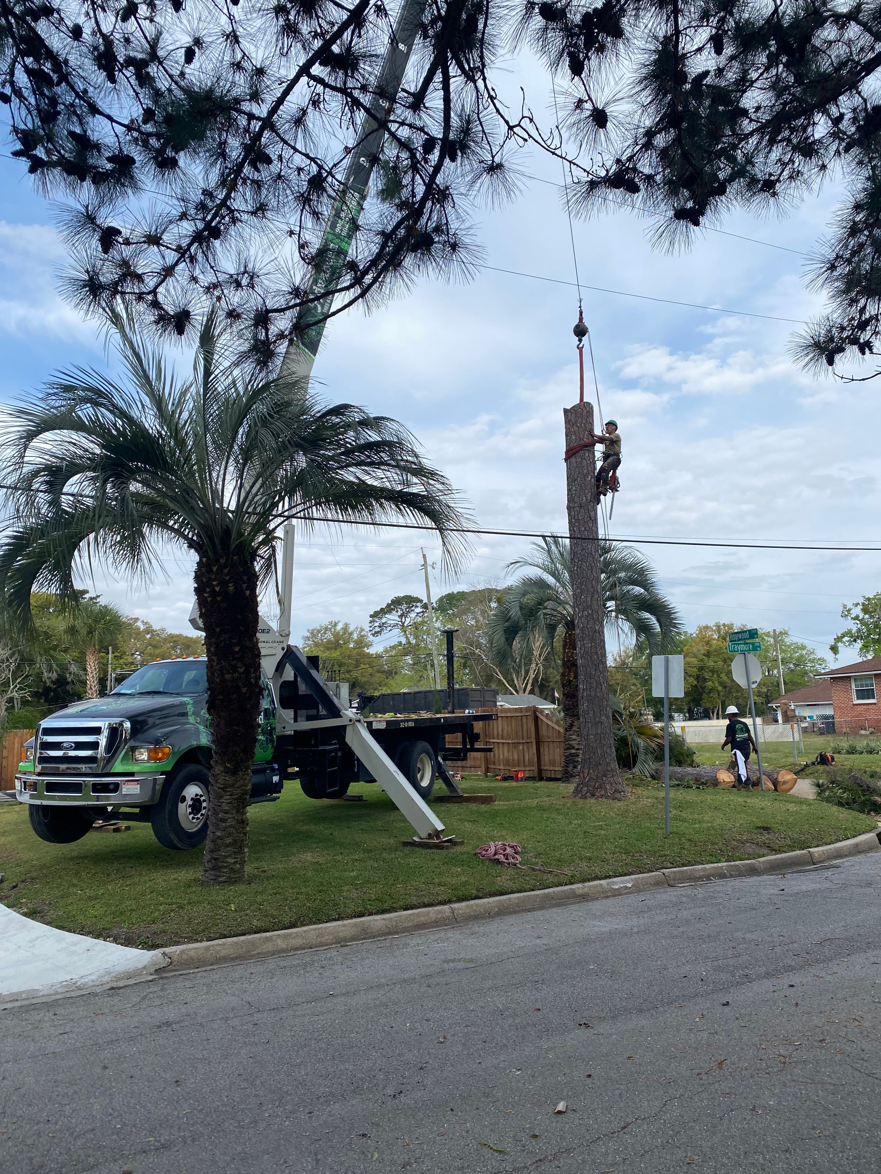  for Elite Tree & Landscape Services LLC in St. Augustine, FL