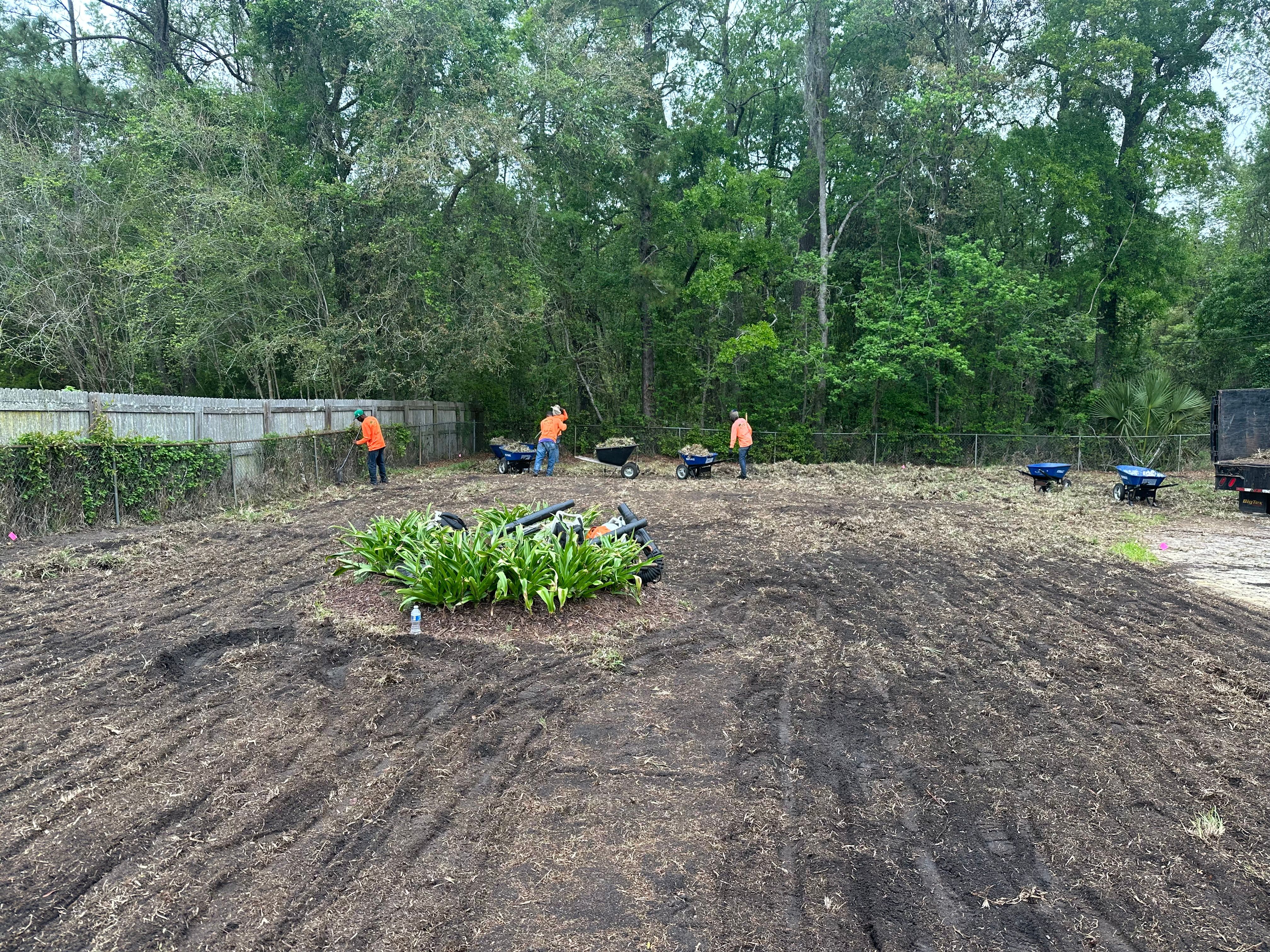 All Photos for All of the Above Landscaping in Orange Park, FL