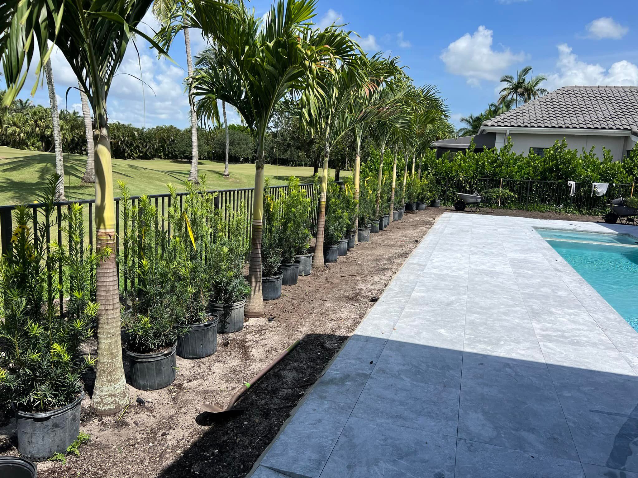 All Photos for An Extravagant Landscape & Lawn Service in Delray, FL