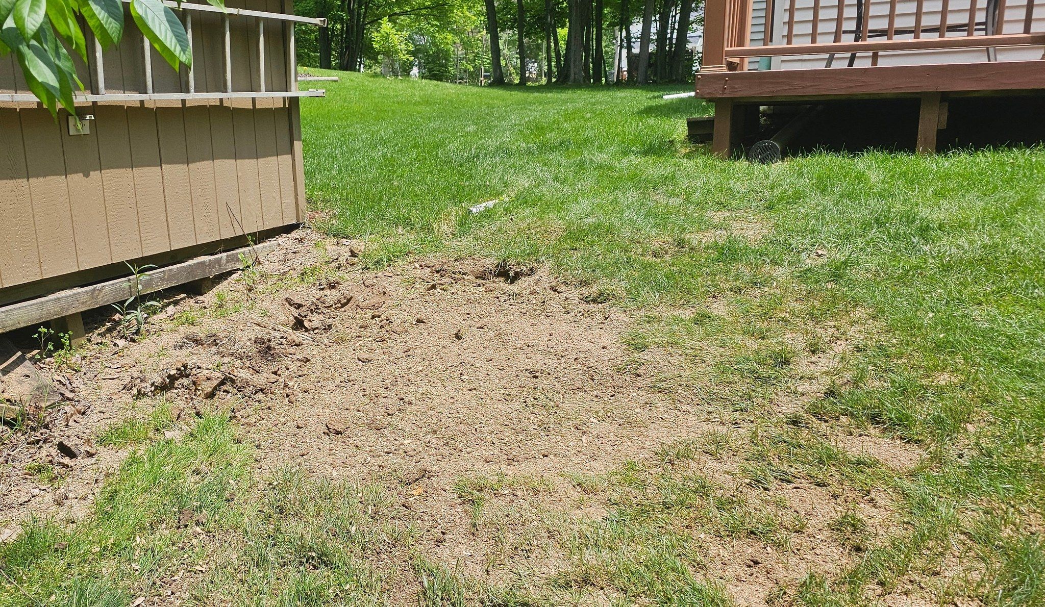  for I and R Stump Grinding in Thornville, OH