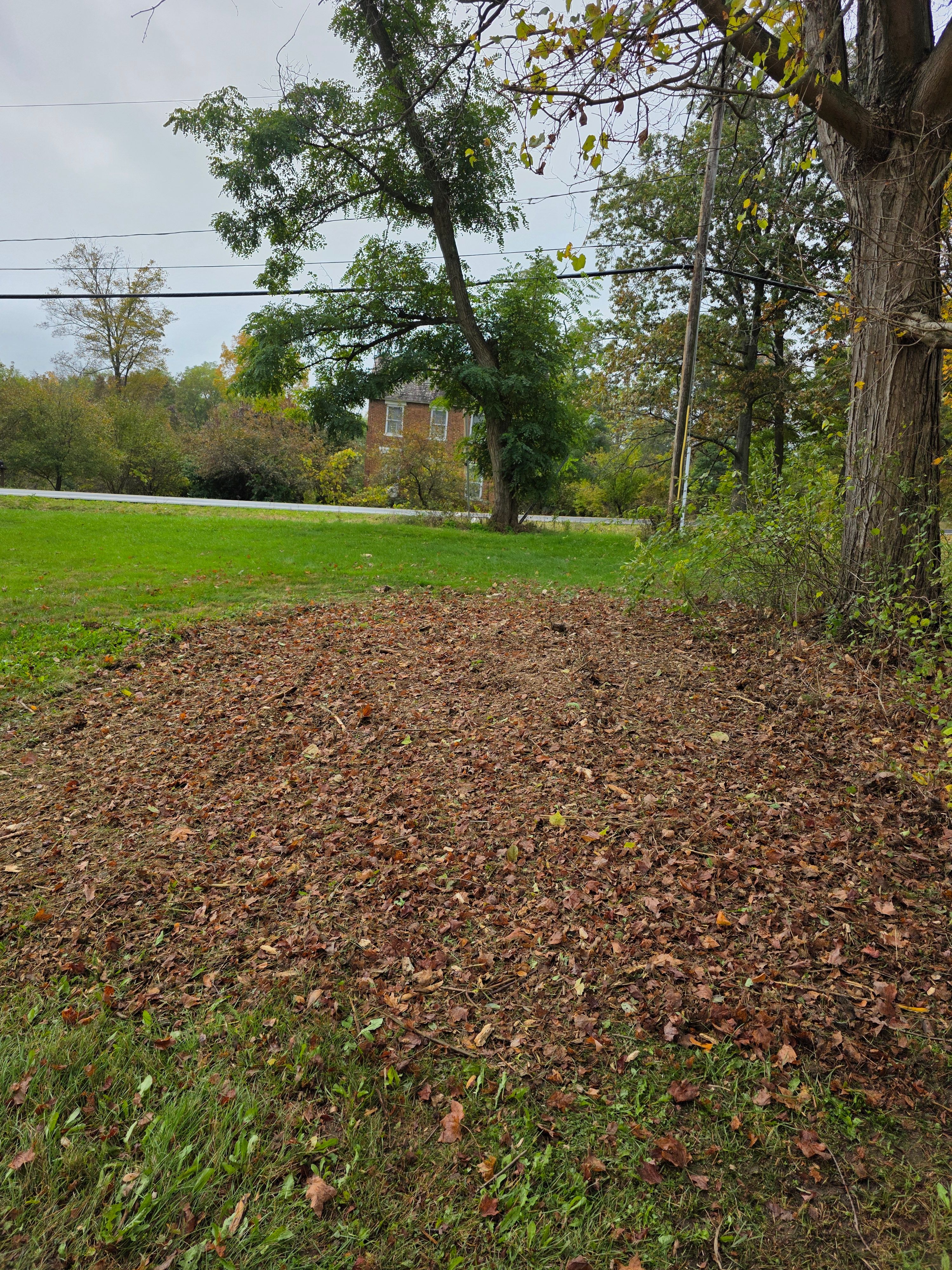  for Sweet Scapes in Ballston Spa, NY