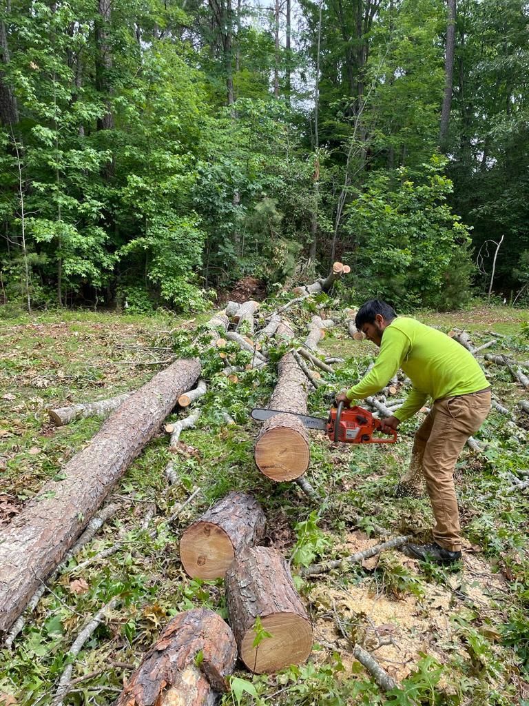 Tree Removal for Rosales Landscaping LLC in Lake Gaston, North Carolina