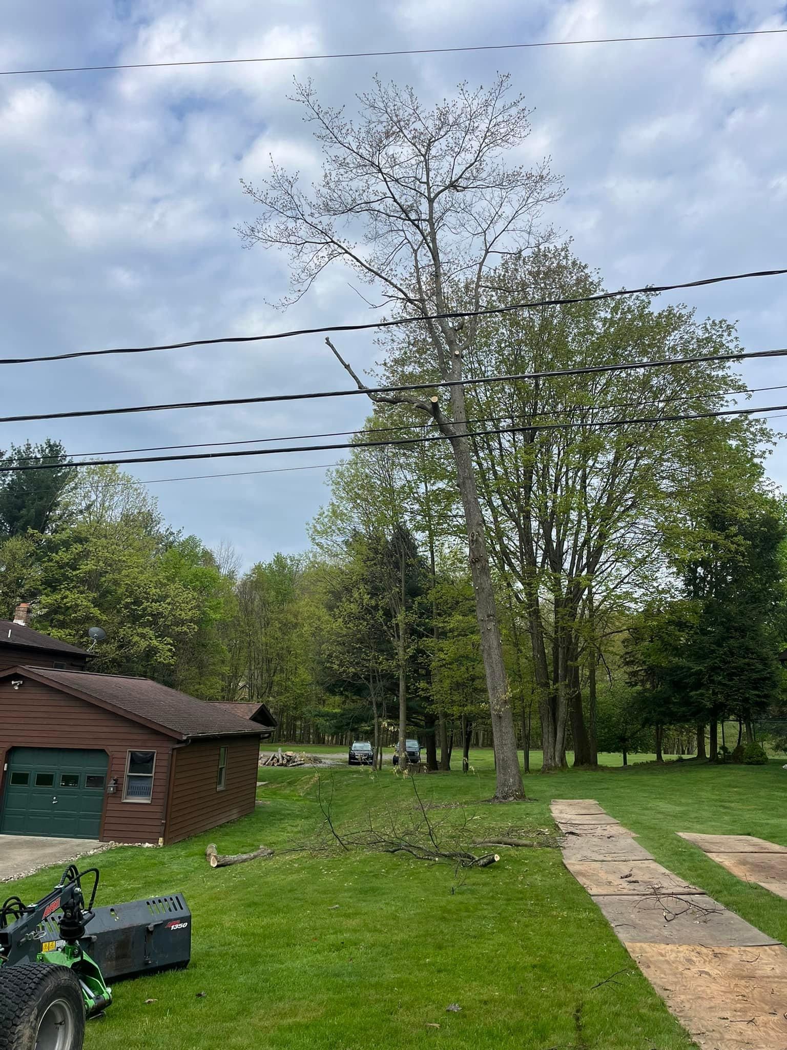  for J&E Tree & Excavation Services in Sandy, PA