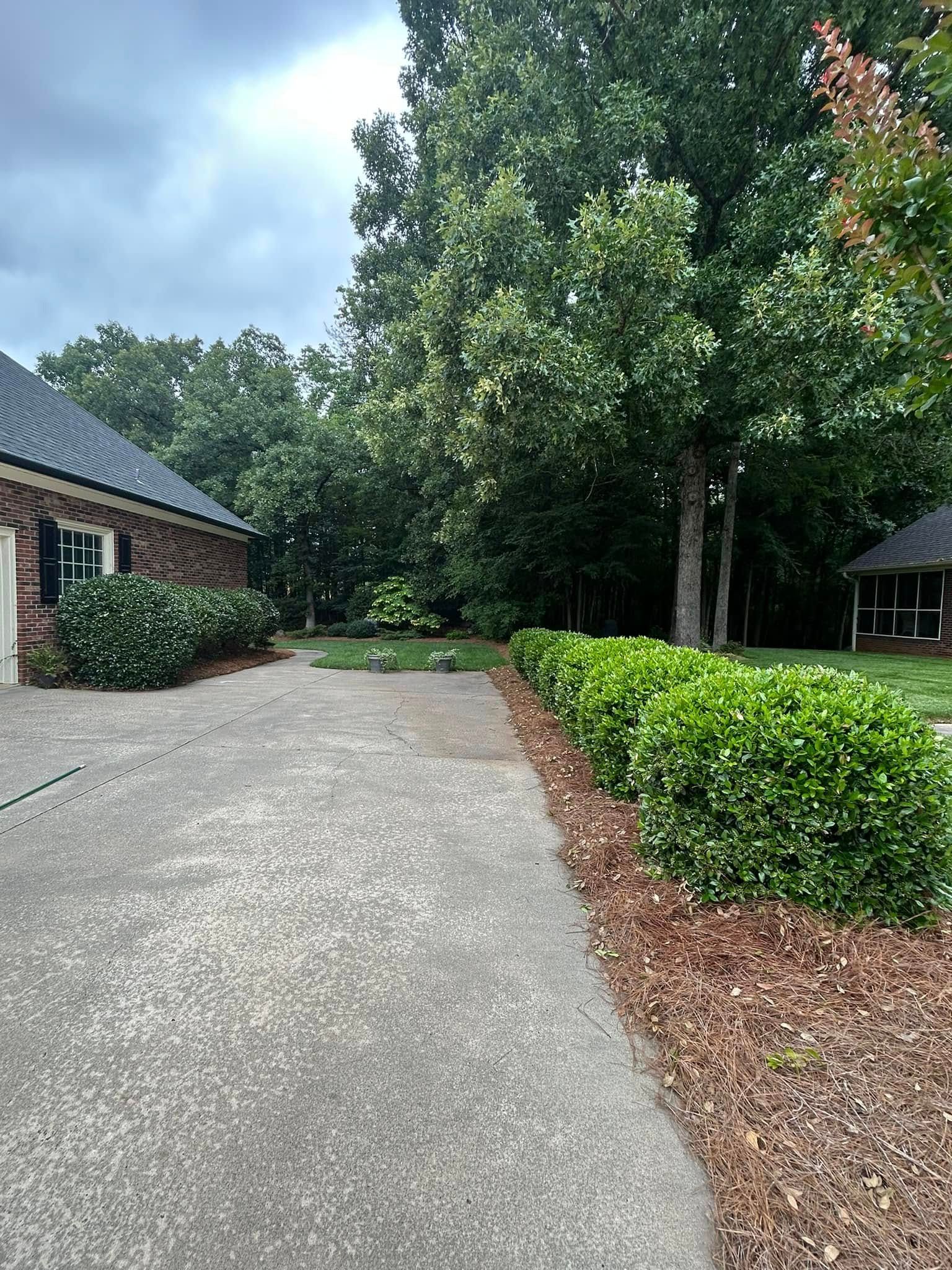 Landscaping for JMLP Lawn & Landscaping in Charlotte, NC