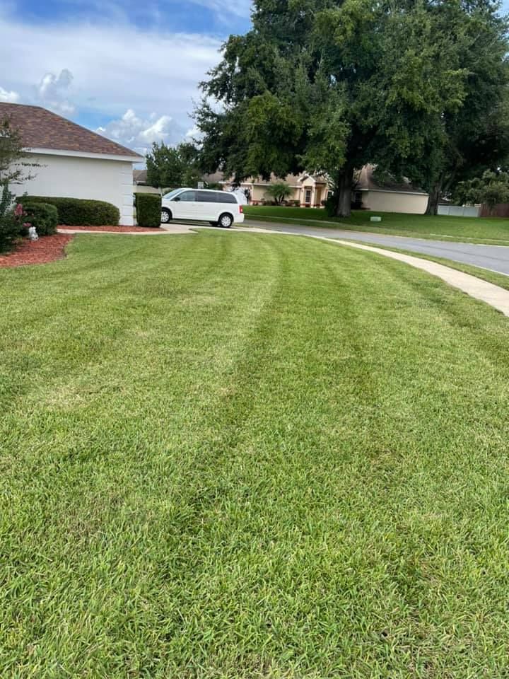 All Photos for A&D Lawn Care of Lakeland in Lakeland, FL