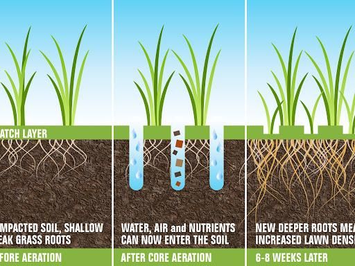 All Photos for A Better Lawn Service LLC in Bel Air, MD