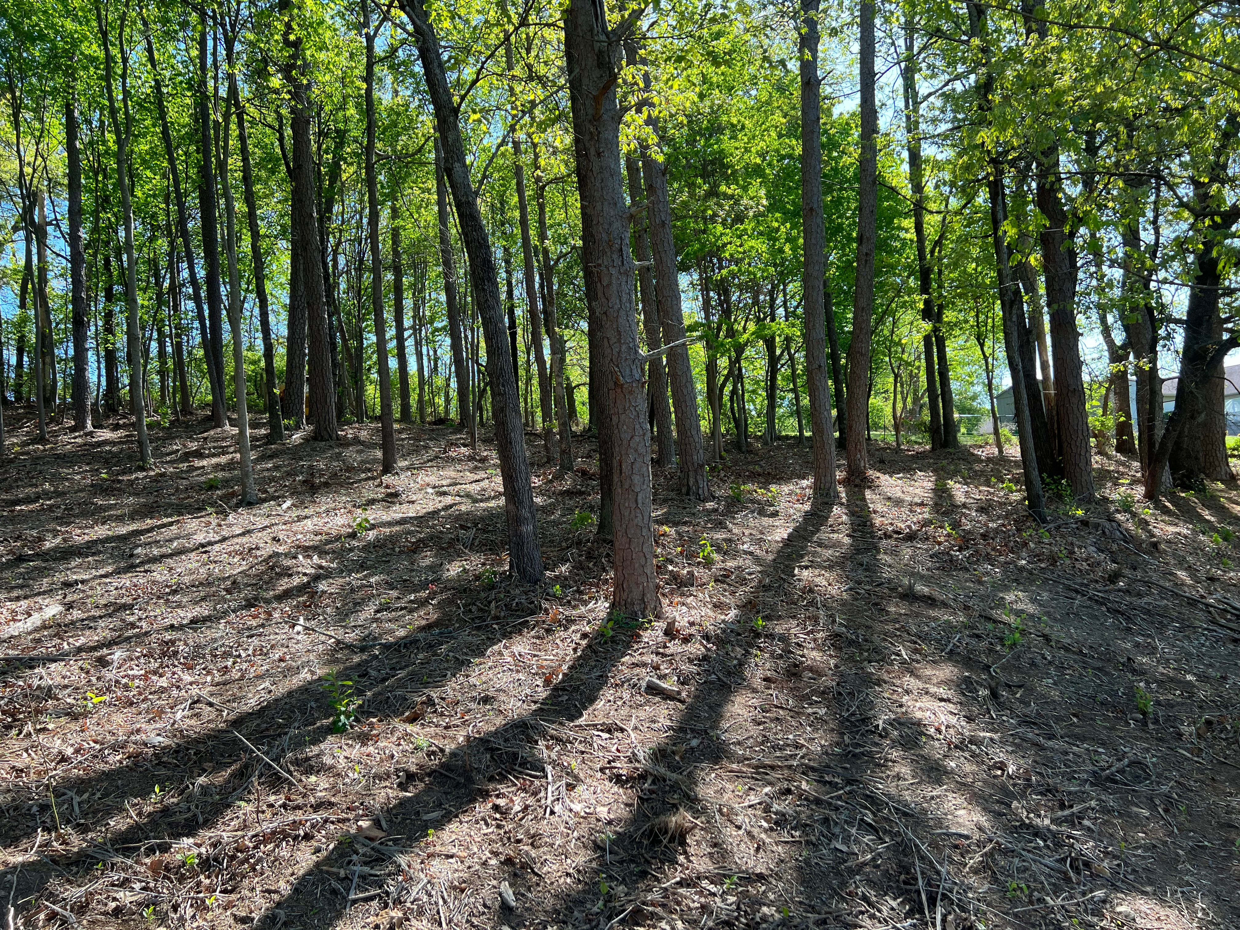 All Photos for F&CO Excavation in Clinton, TN