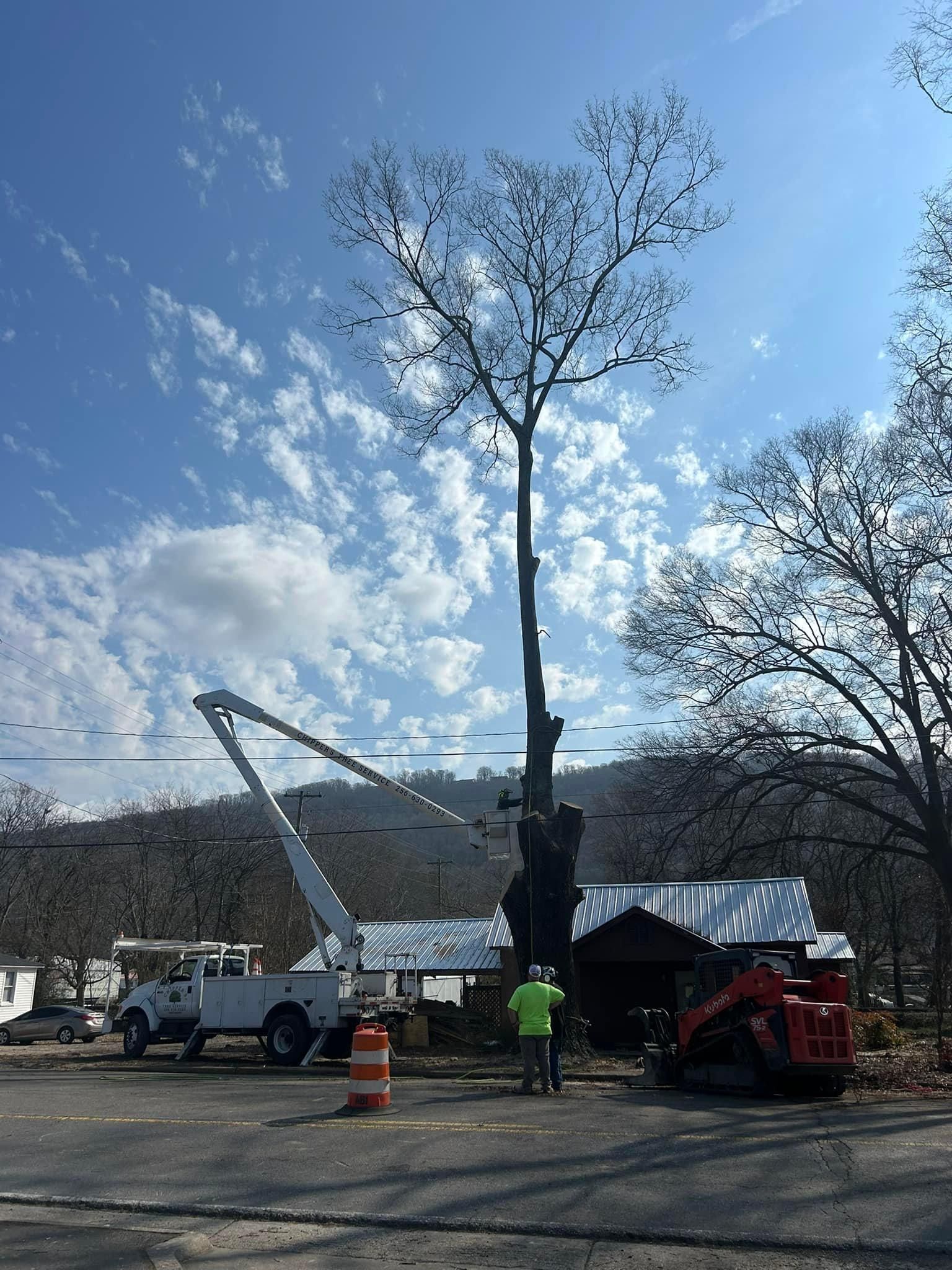  for Chipper's Tree Service  in Fort Payne, AL