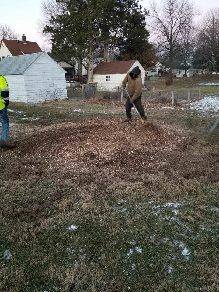  for Loockerman's Tree and Stump Removal in Dover, DE
