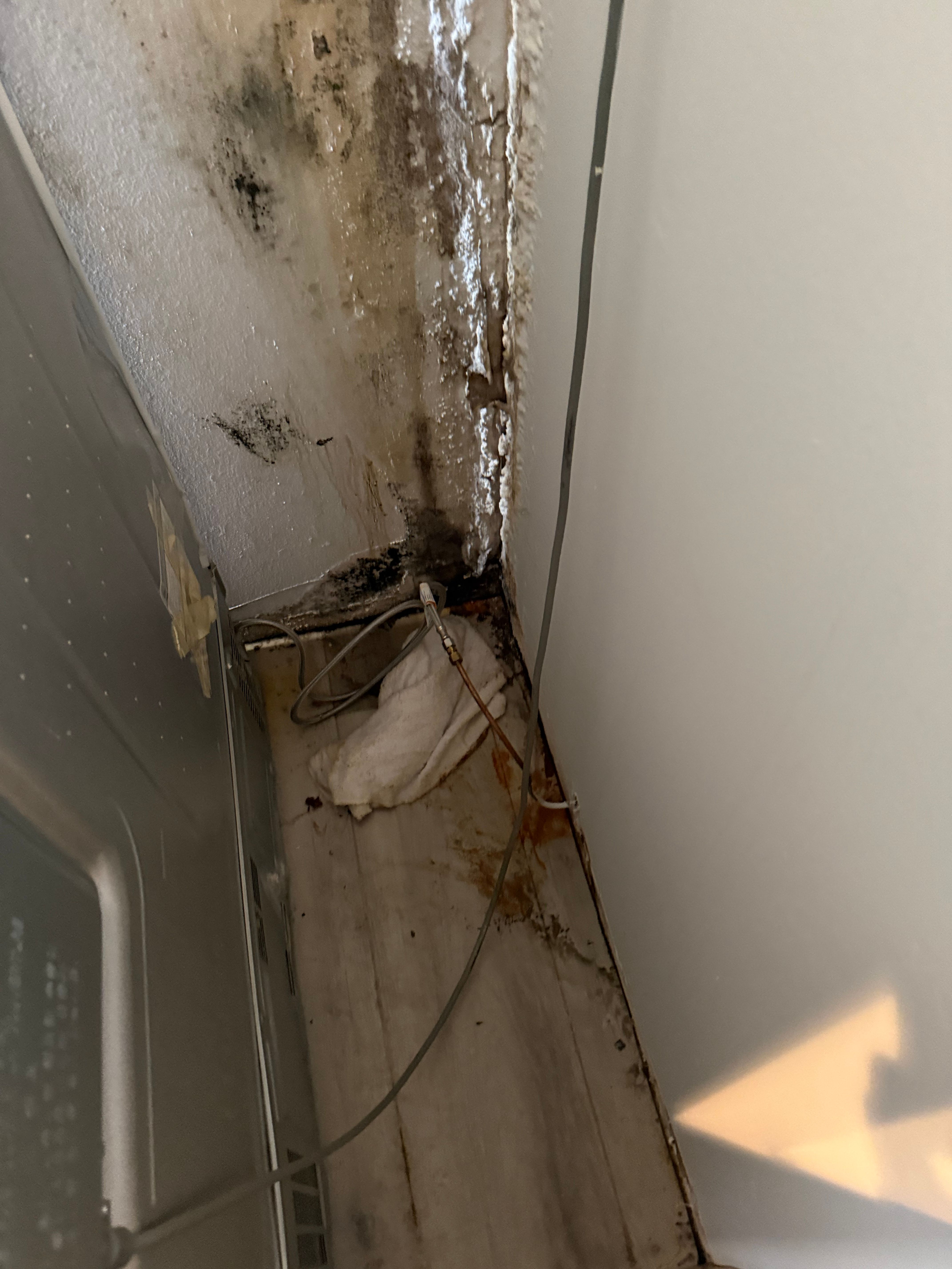  for Titan Remediation Industries in West Palm Beach, FL