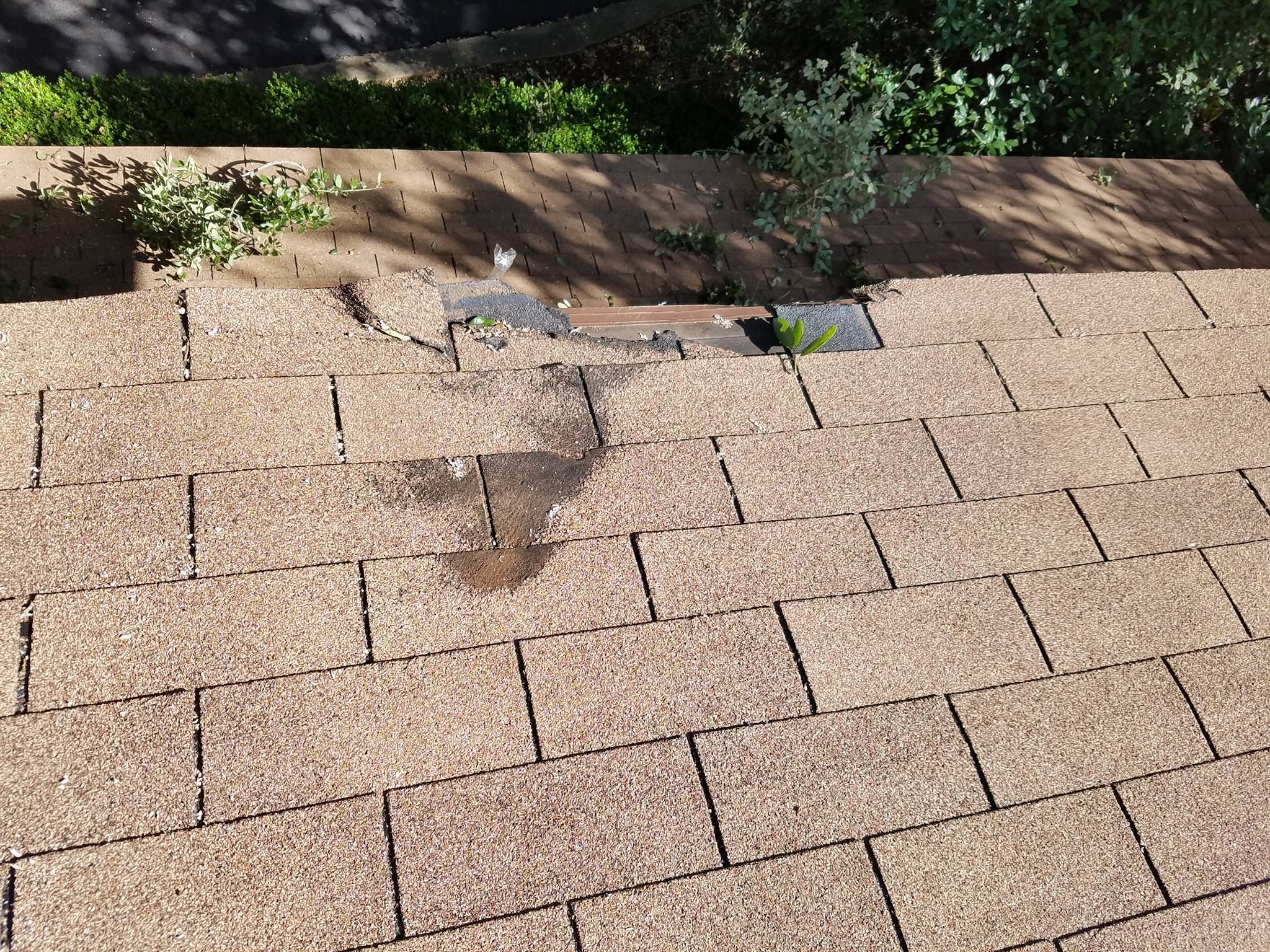  for 210 Tree Care in San Antonio, TX