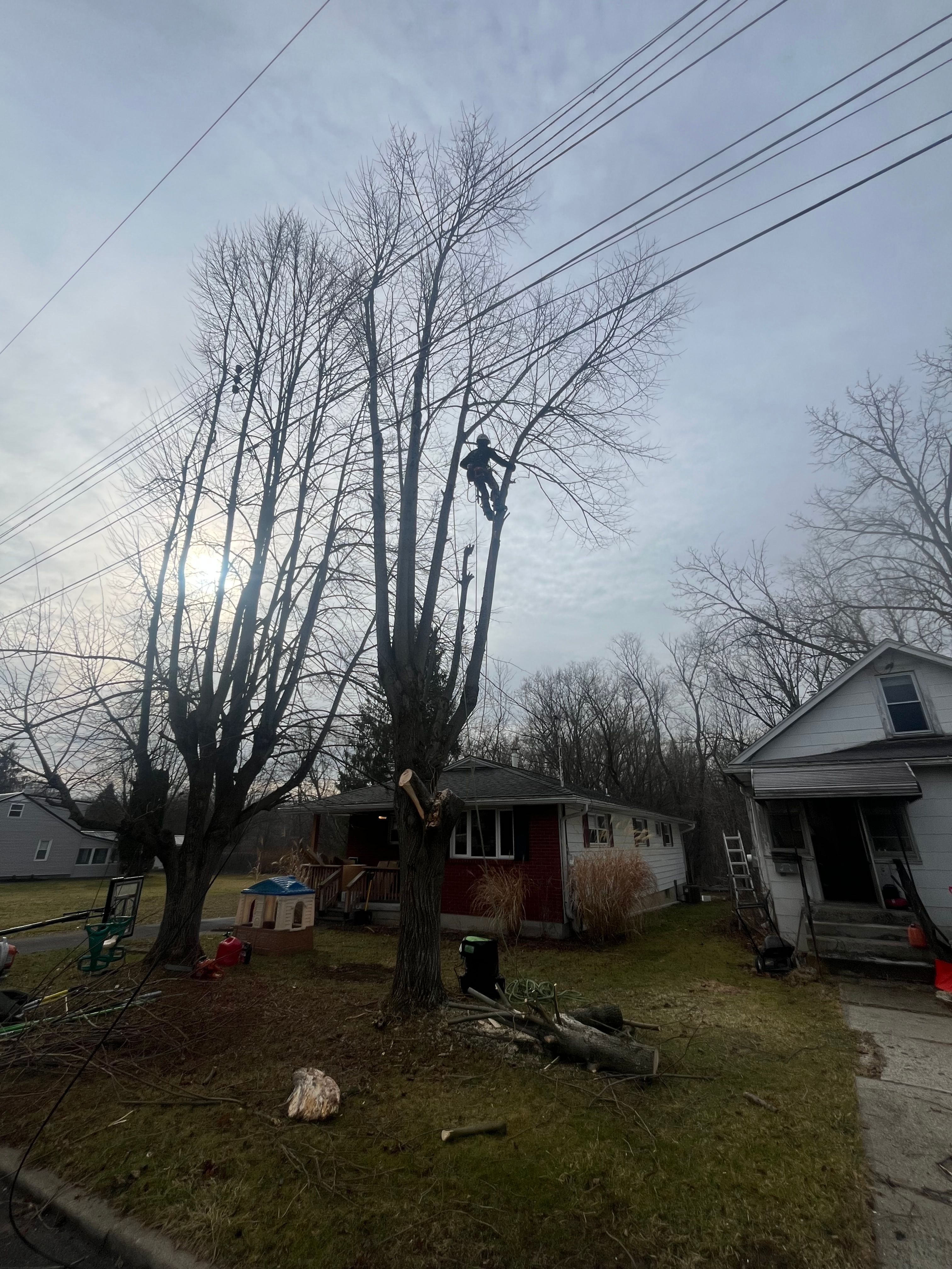 All Photos for Licensed to Cut Tree Service in Athens, PA