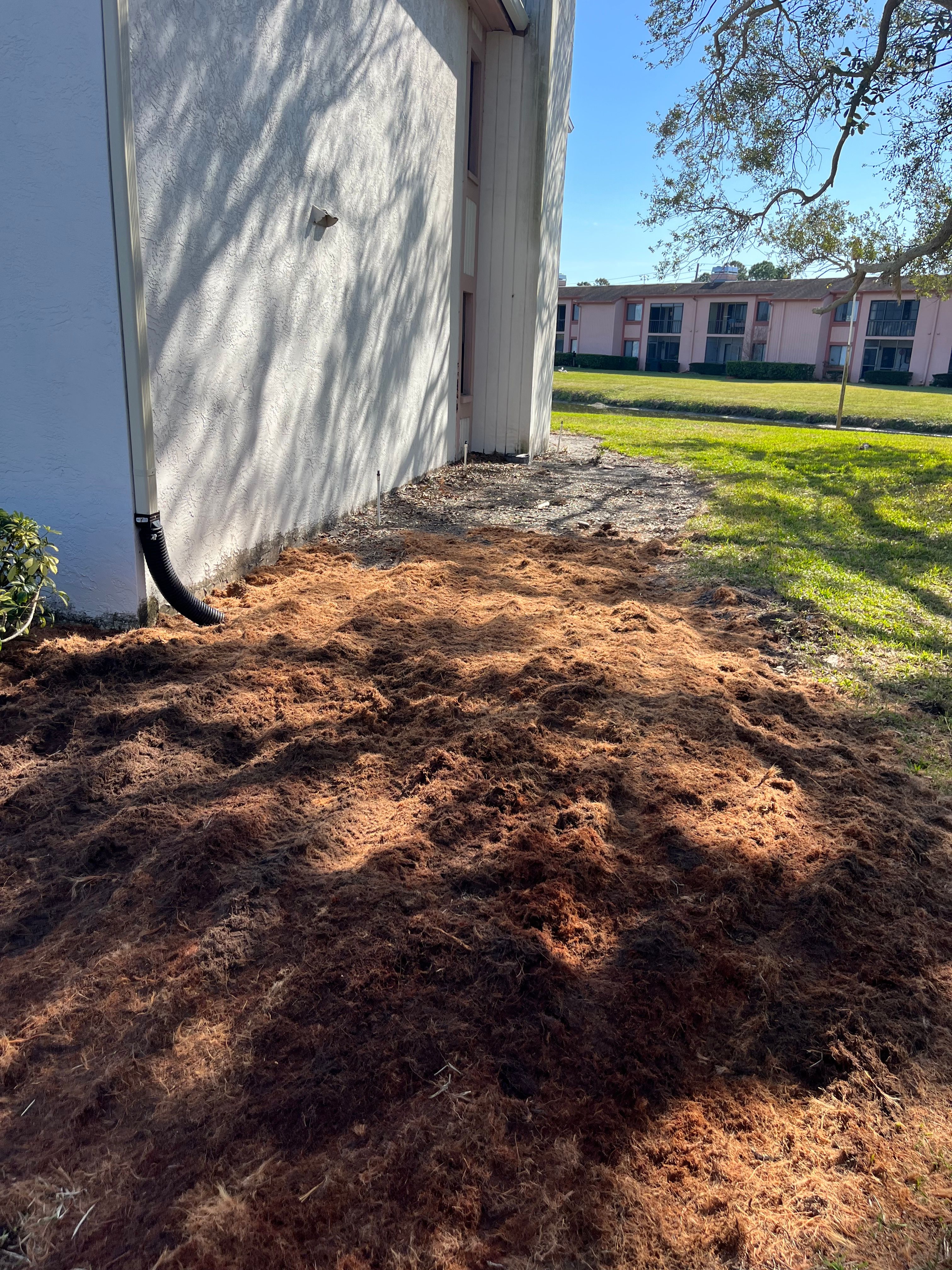  for KB’s Stump Removal in Seminole, FL