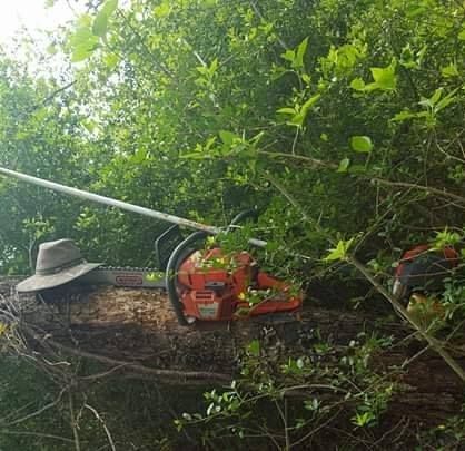 All Photos for Leon Landscaping & Tree Service in Palestine, TX