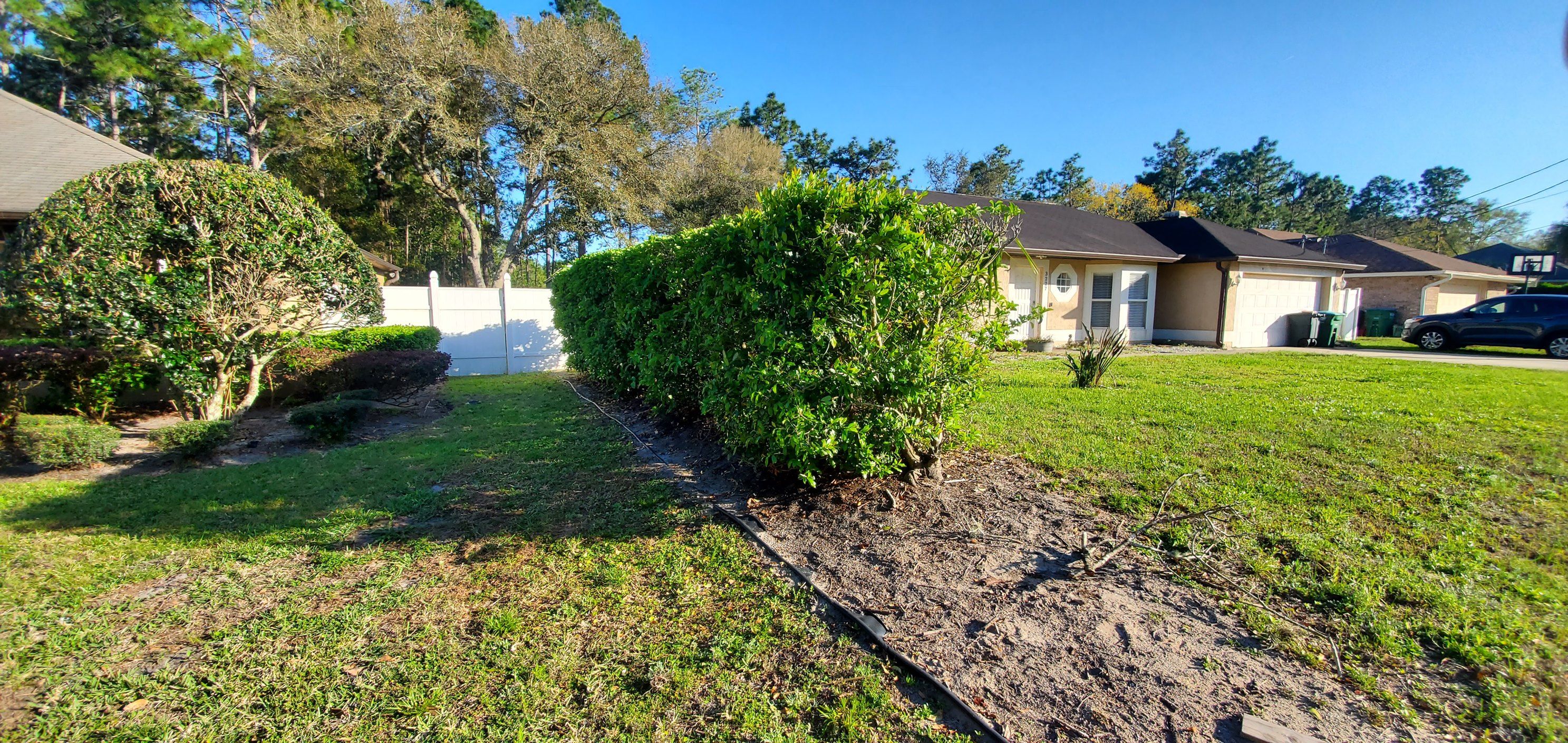 All Photos for Highlife Tree Care And Landscaping in Altamonte Springs, FL