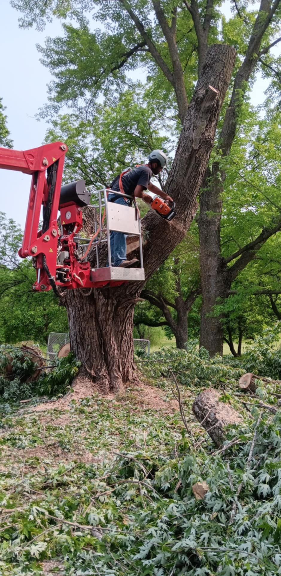  for Lawn Ranger Yard And Tree Service LLC in Ottumwa, IA