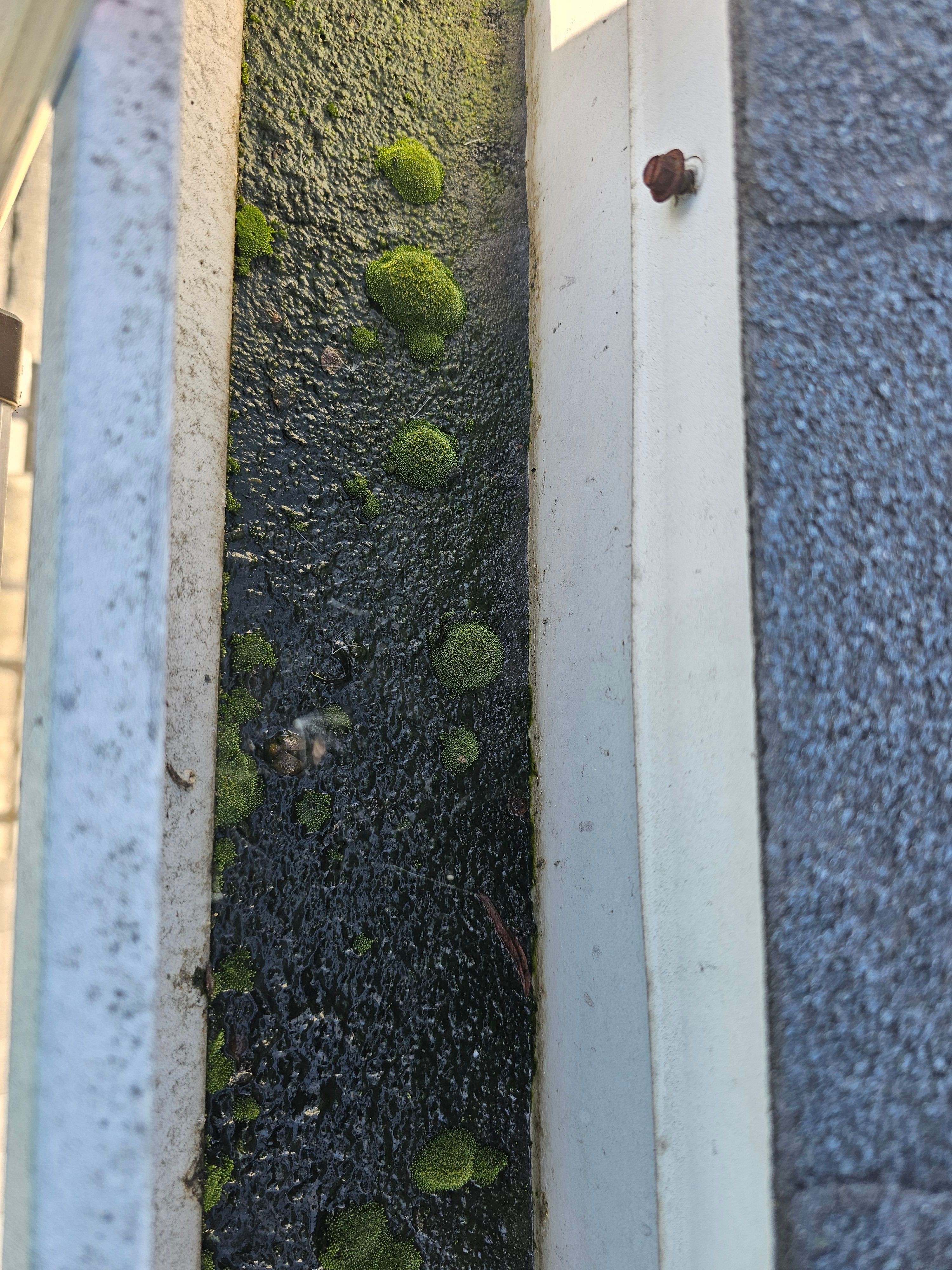  for The Window & Solar Ninjas in Riverside County, CA