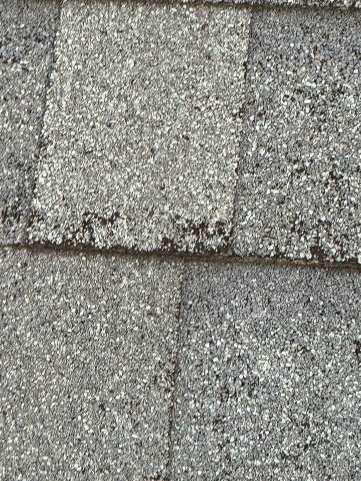  for AVCO Roofing in Fayetteville, NC