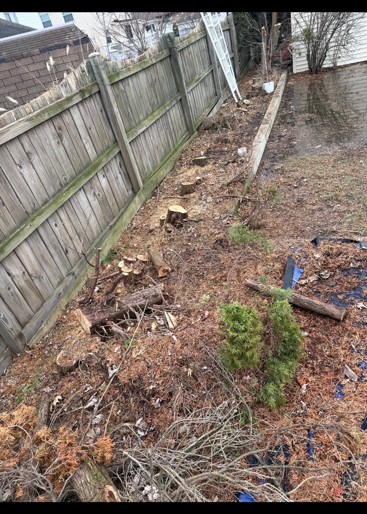  for Hauser's Complete Care INC in Lancaster, NY