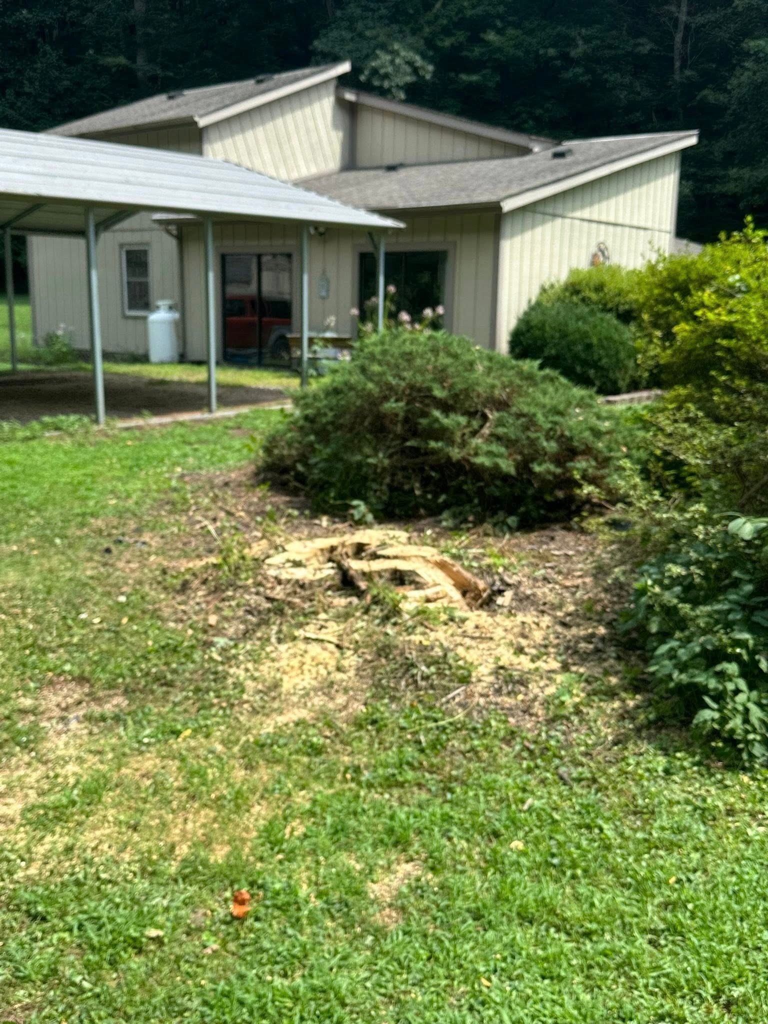  for Ramirez Tree Care in Elkin, NC