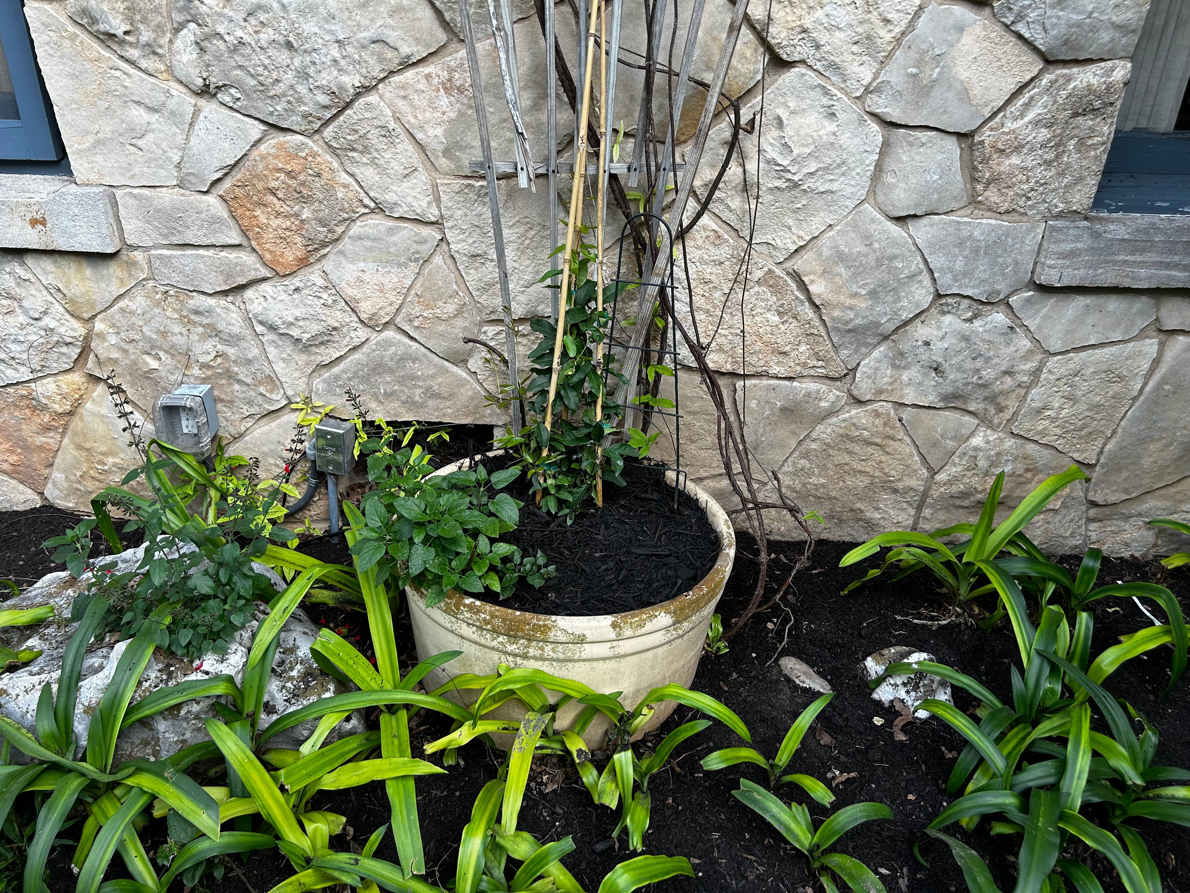  for Good and Green Landscaping in Canyon Lake, TX