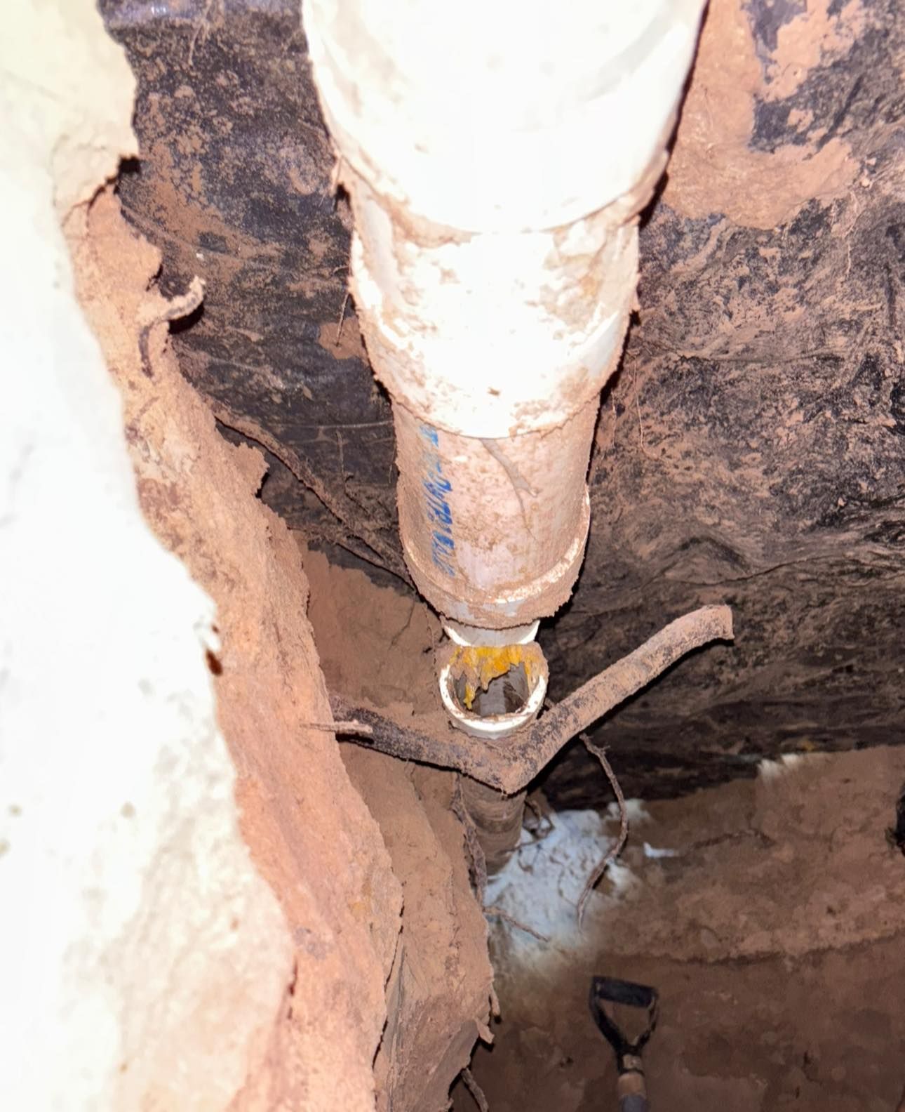  for Precision Plumbing LLC in Liberty County, TX