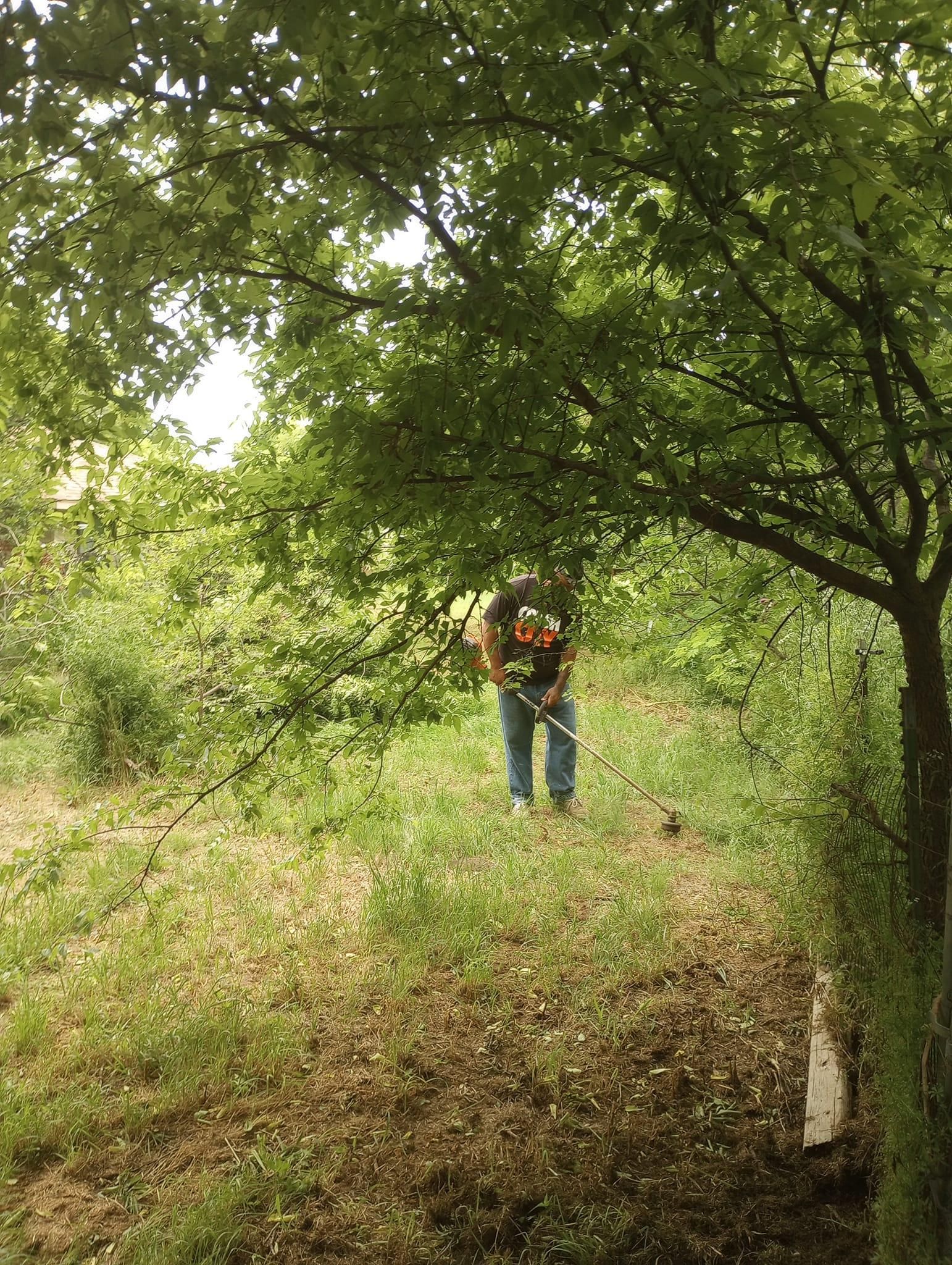 Mowing for Emergency Yard Care LLC in Waxahachie, TX