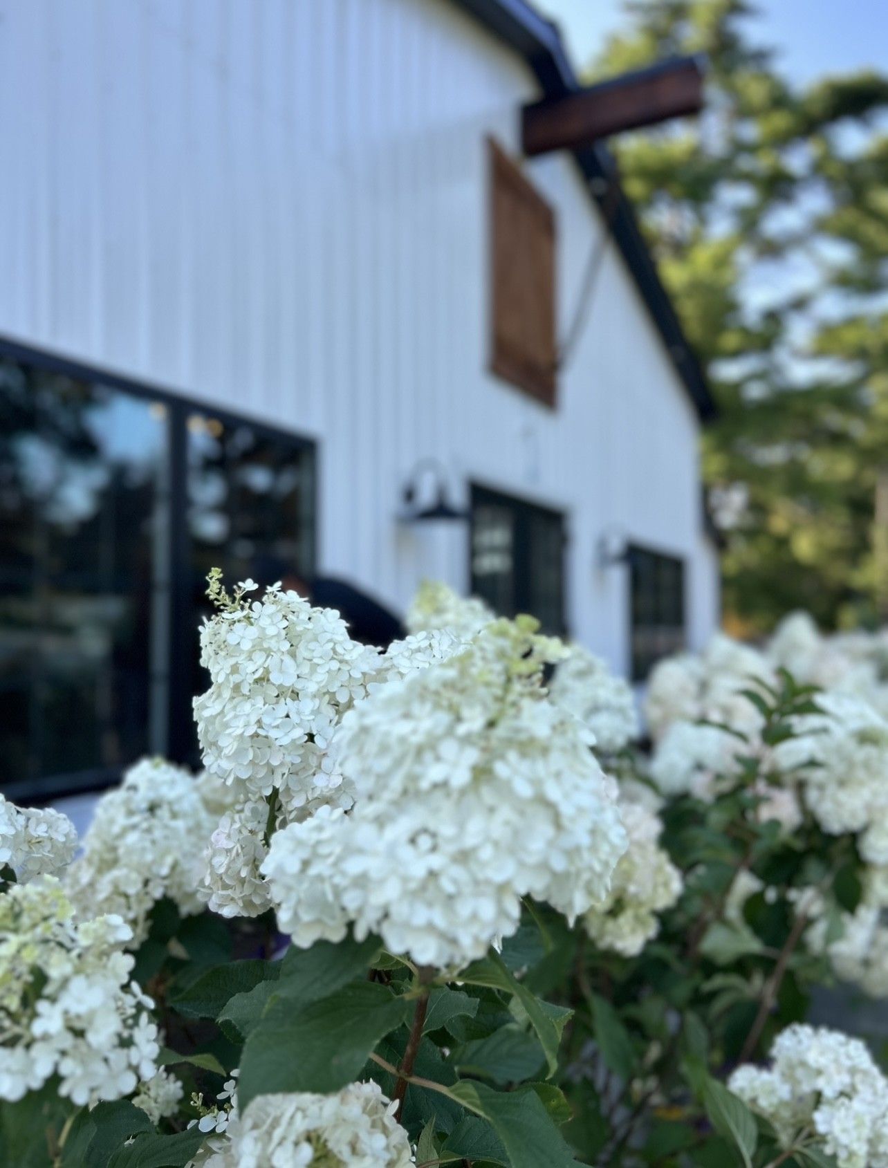 All Photos for Elite Terrain in Wilton, NY