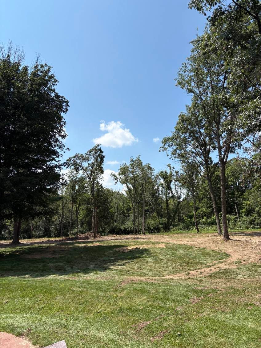 Tree Removal for Olson Tree Service, Inc in Rockford, IL