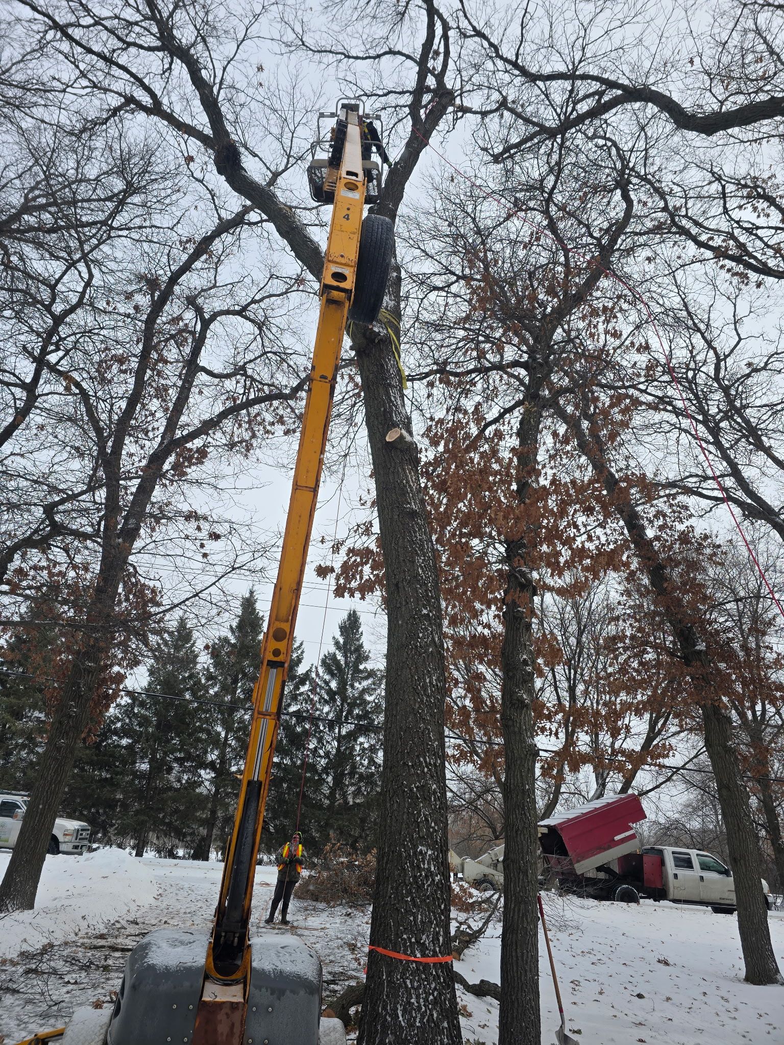 All Photos for K and Z Tree Care in Isanti County, MN