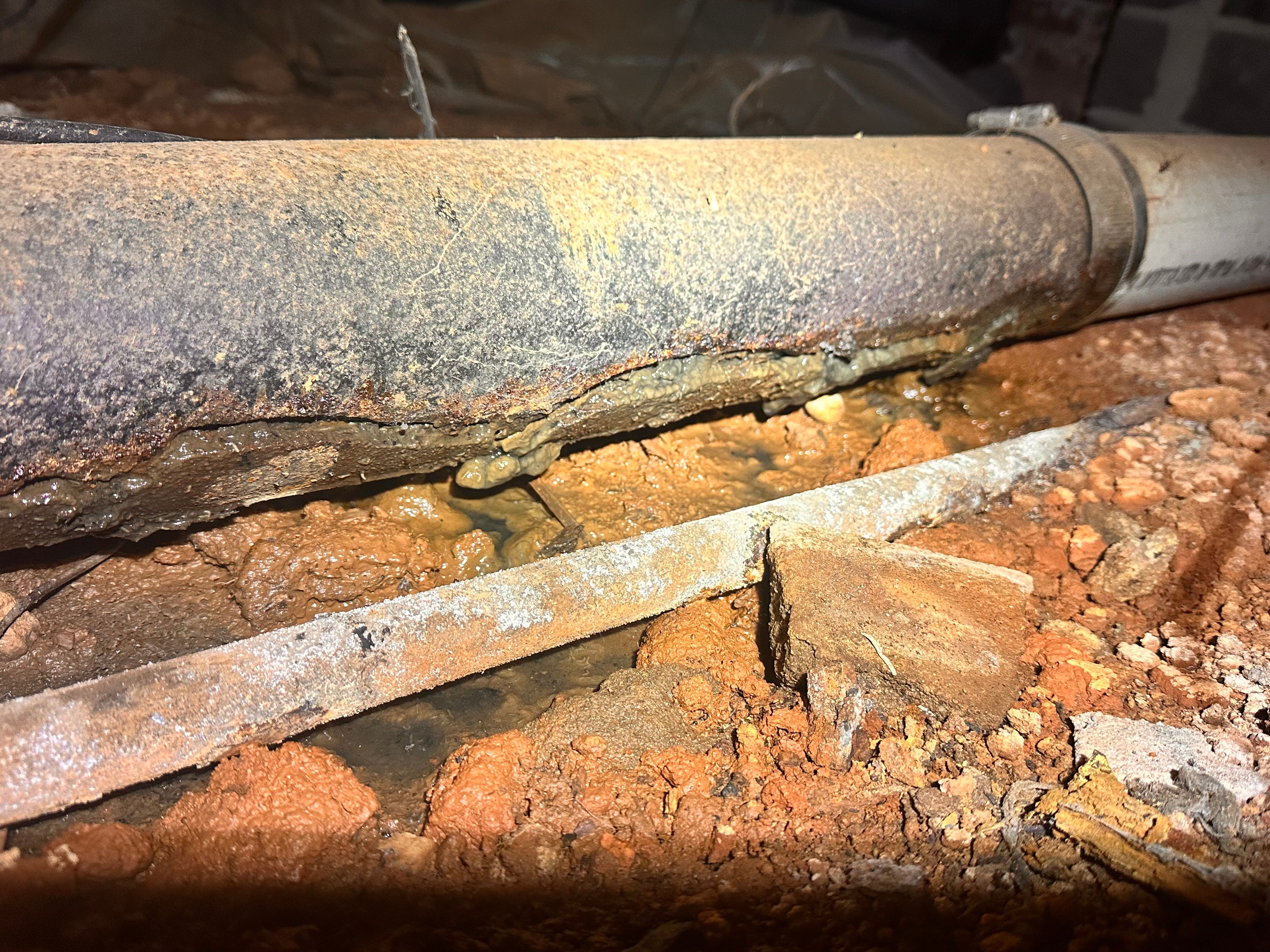  for Purified Plumbing Services INC in Roxboro, NC