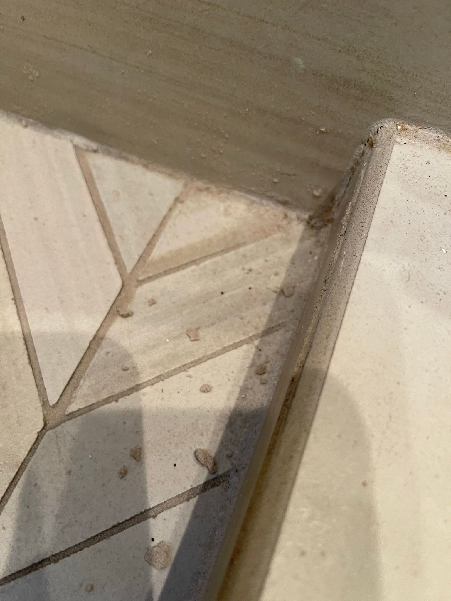  for Tony's Remodeling & Painting in Renton, WA