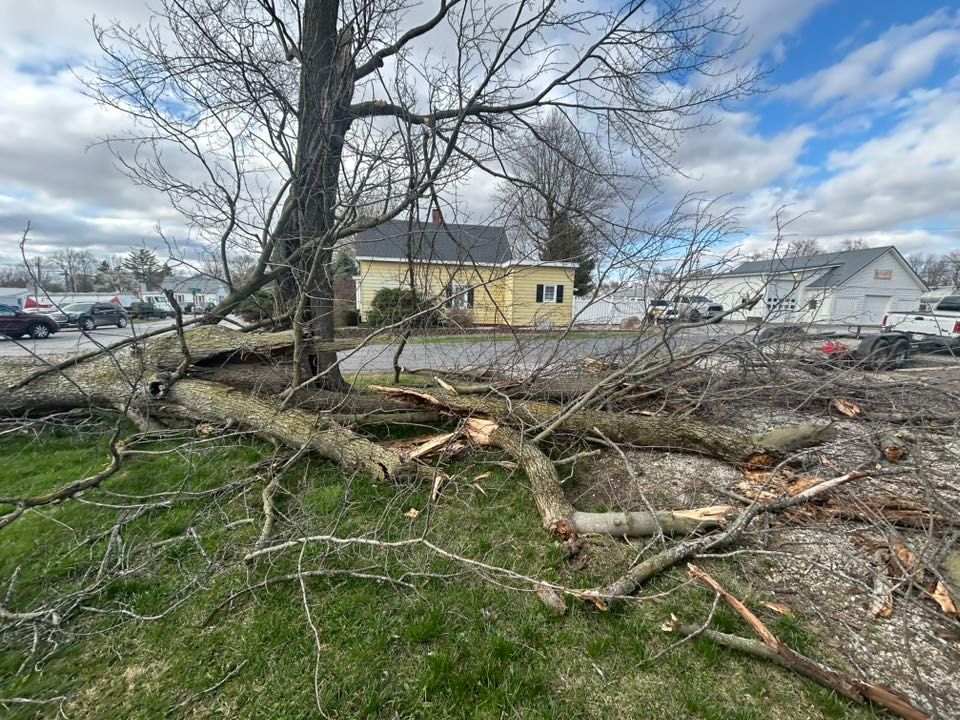 All Photos for Wininger Landscaping in New Richmond, IN