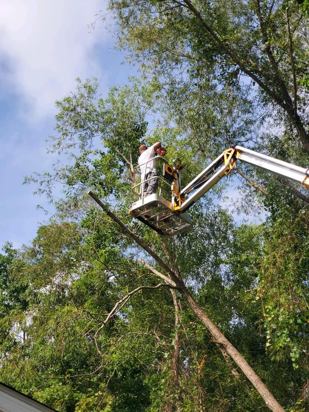  for White’s Land Maintenance in Milton,, FL