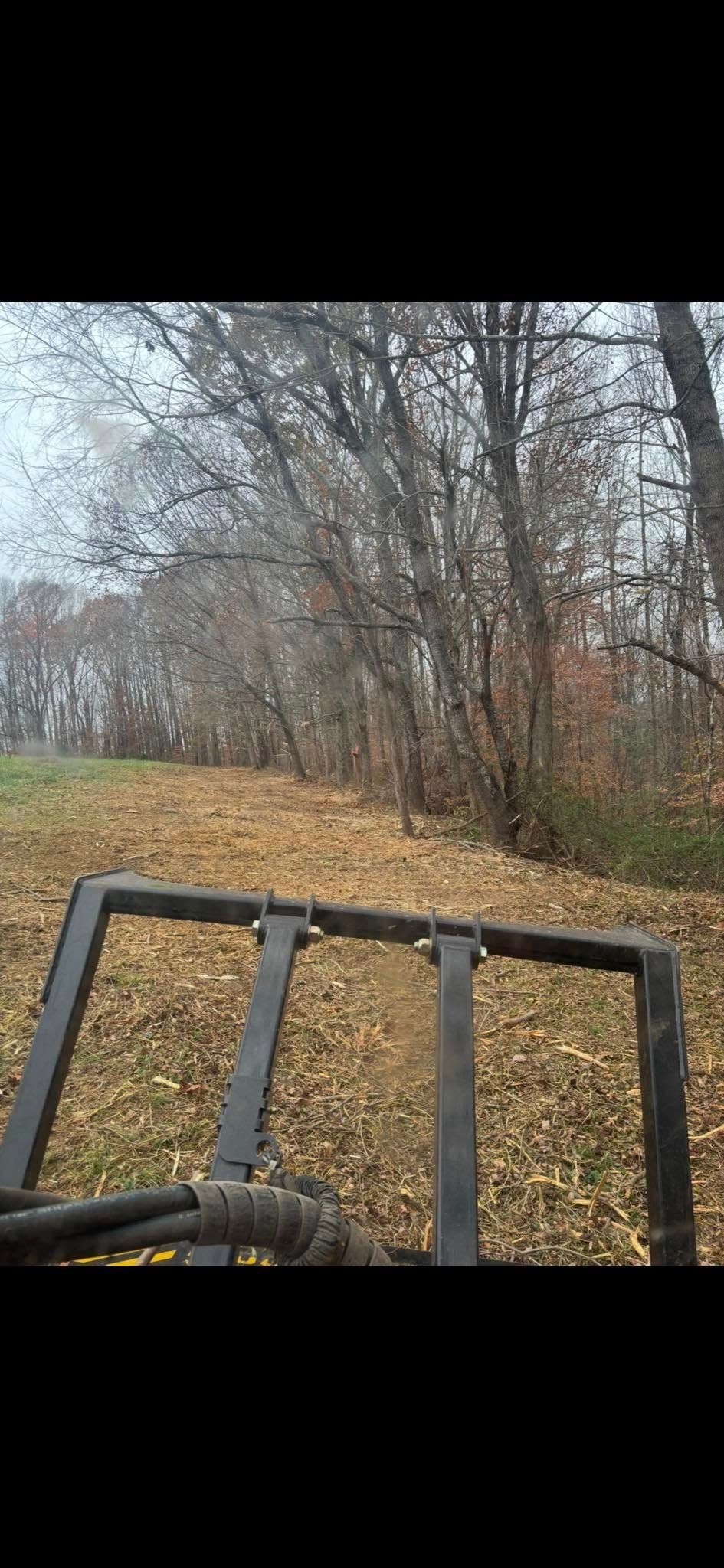  for Gregory Grass and Land in Lafayette, TN