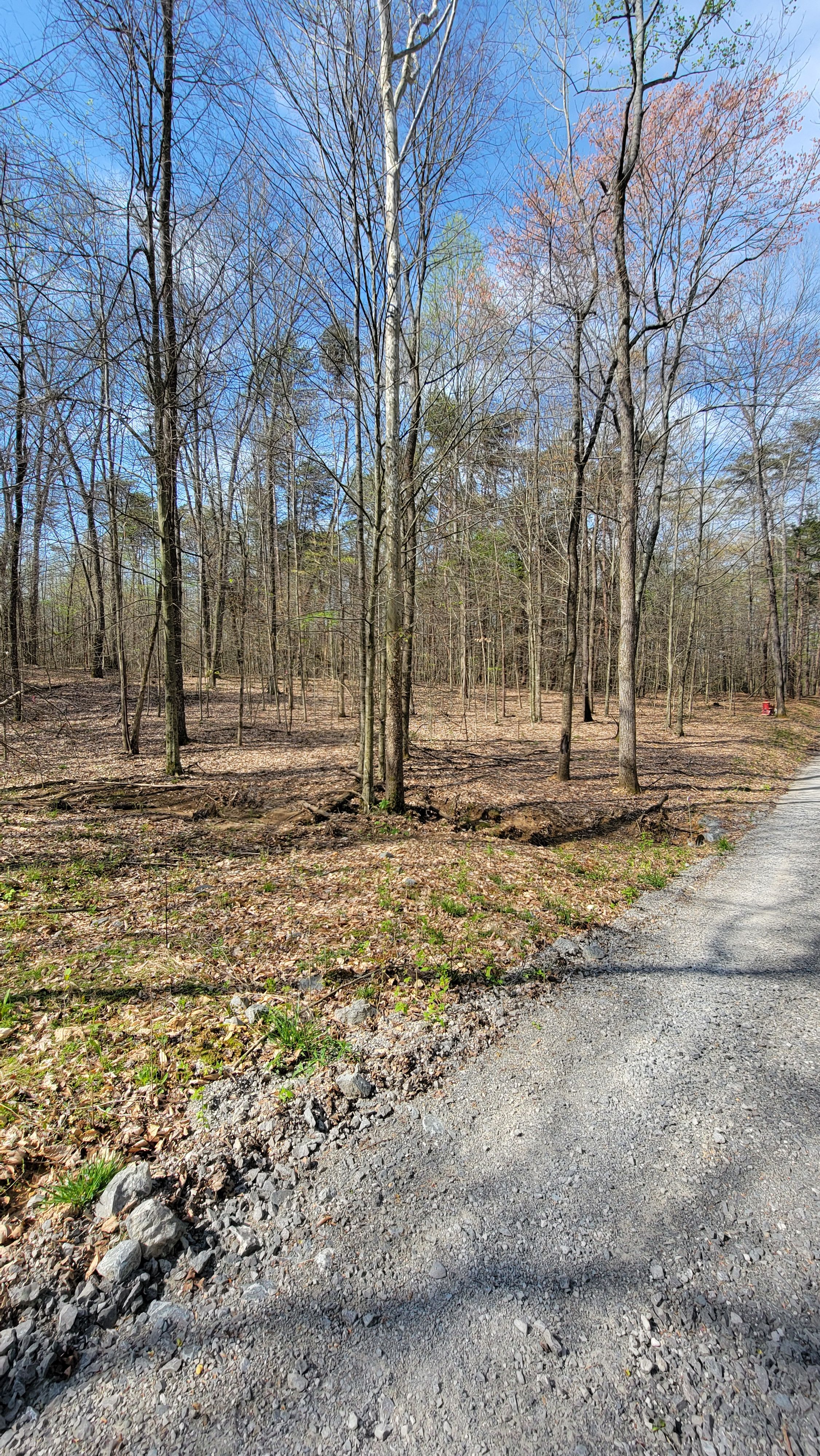  for Z's Land Management & Forestry Mulching in Smithville, TN