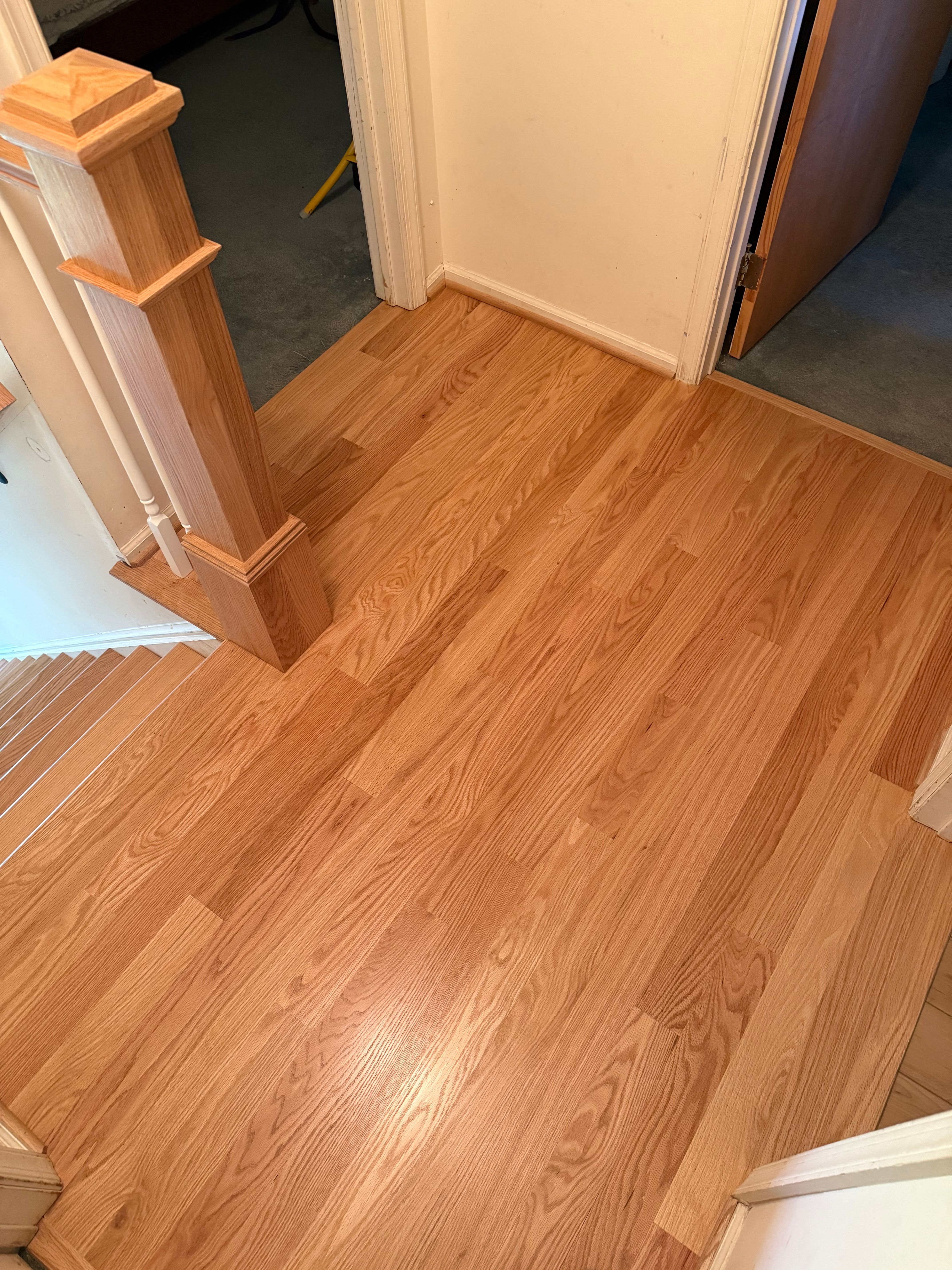  for Finely Finished LLC in Wyoming, DE